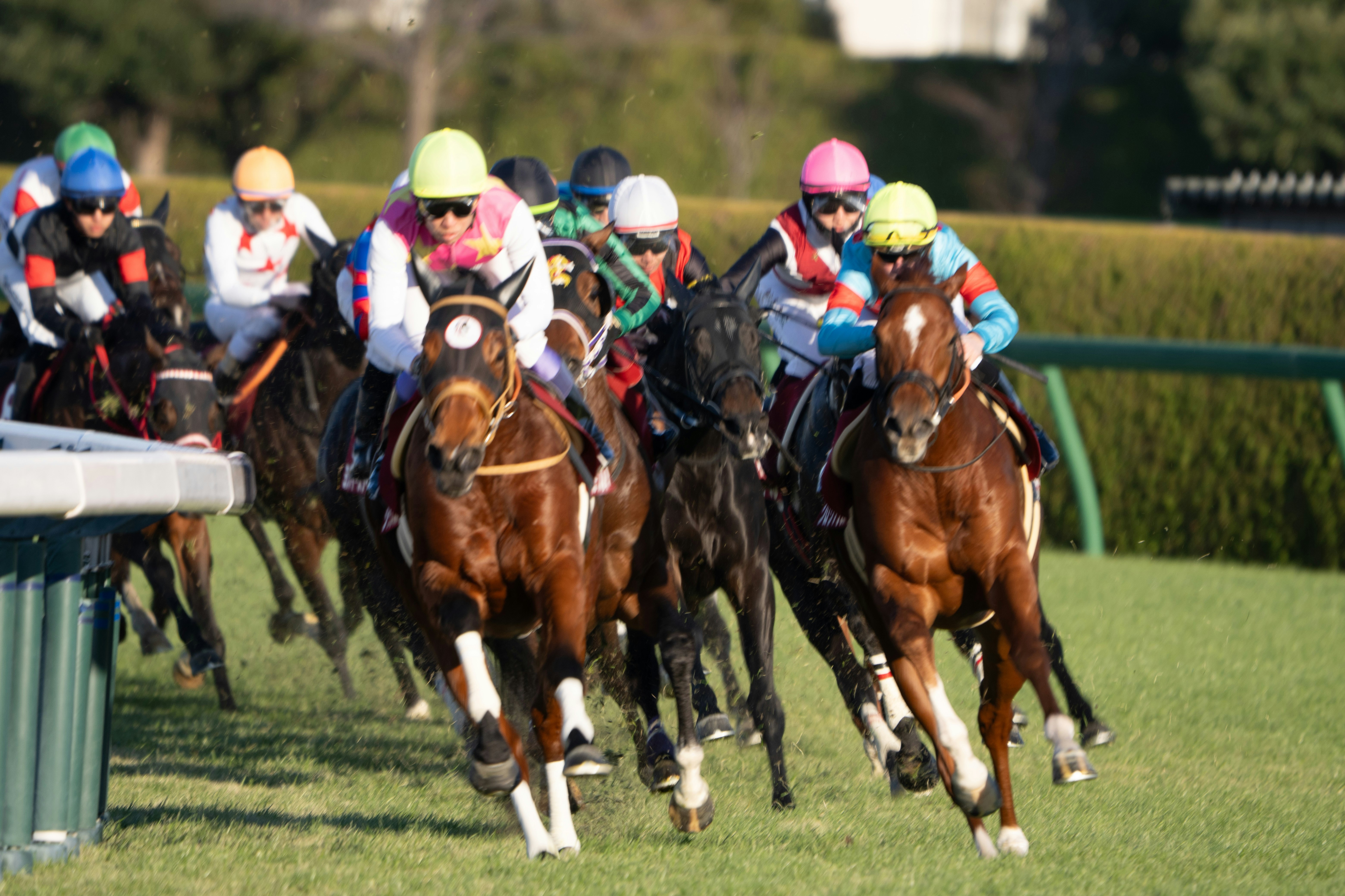 競馬場を駆ける馬と騎手の集団