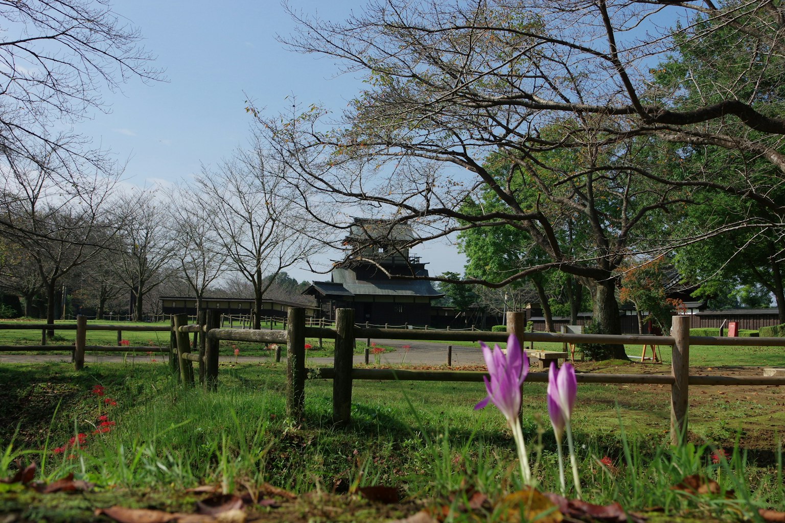 Parklandschaft mit lila Blumen und einem Schloss im Hintergrund