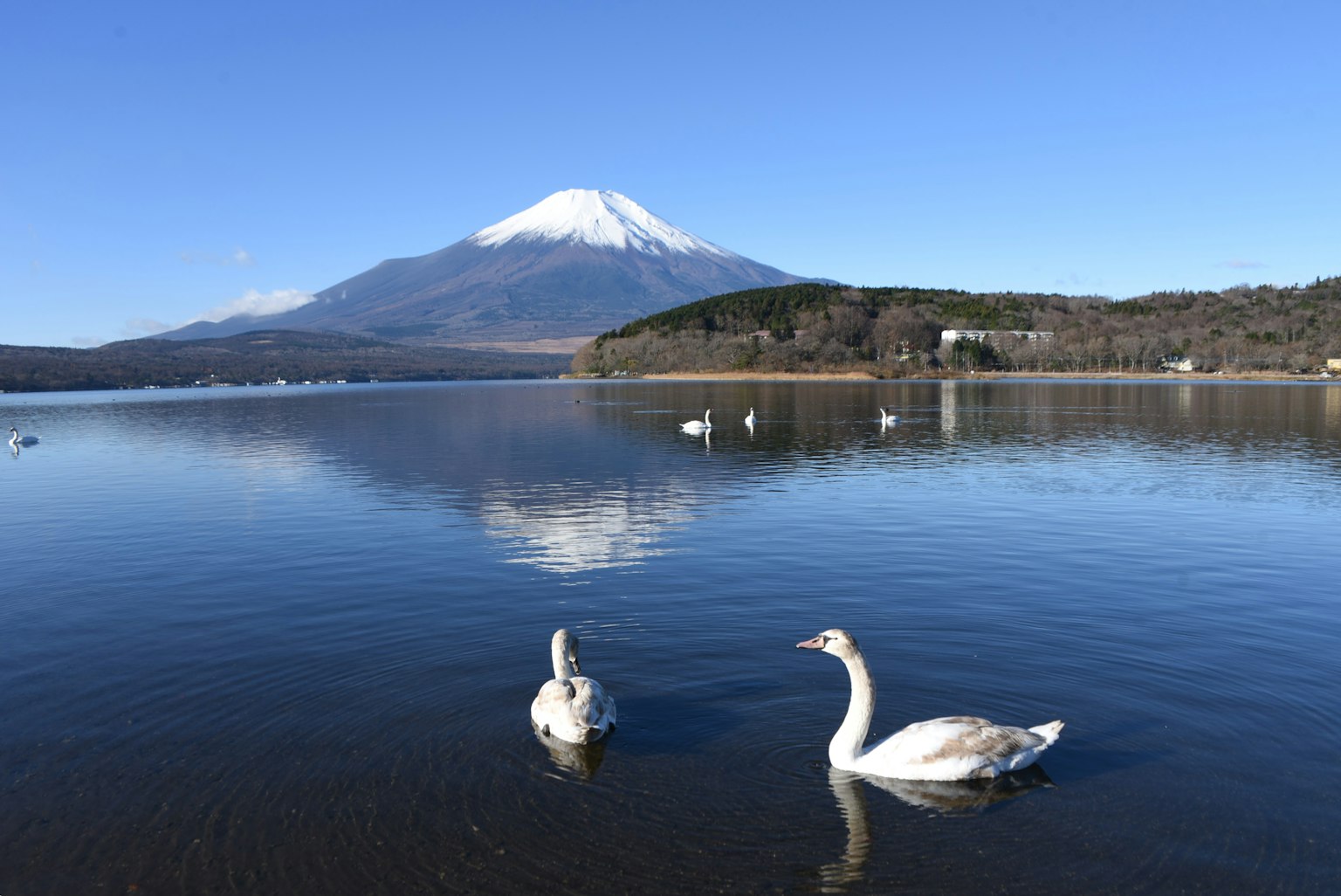 photo-Um1hE3k3f4p35qr4blKu-image