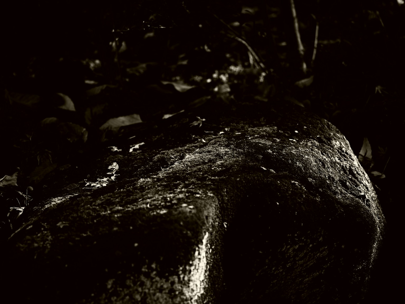 Permukaan batu basah di latar belakang gelap