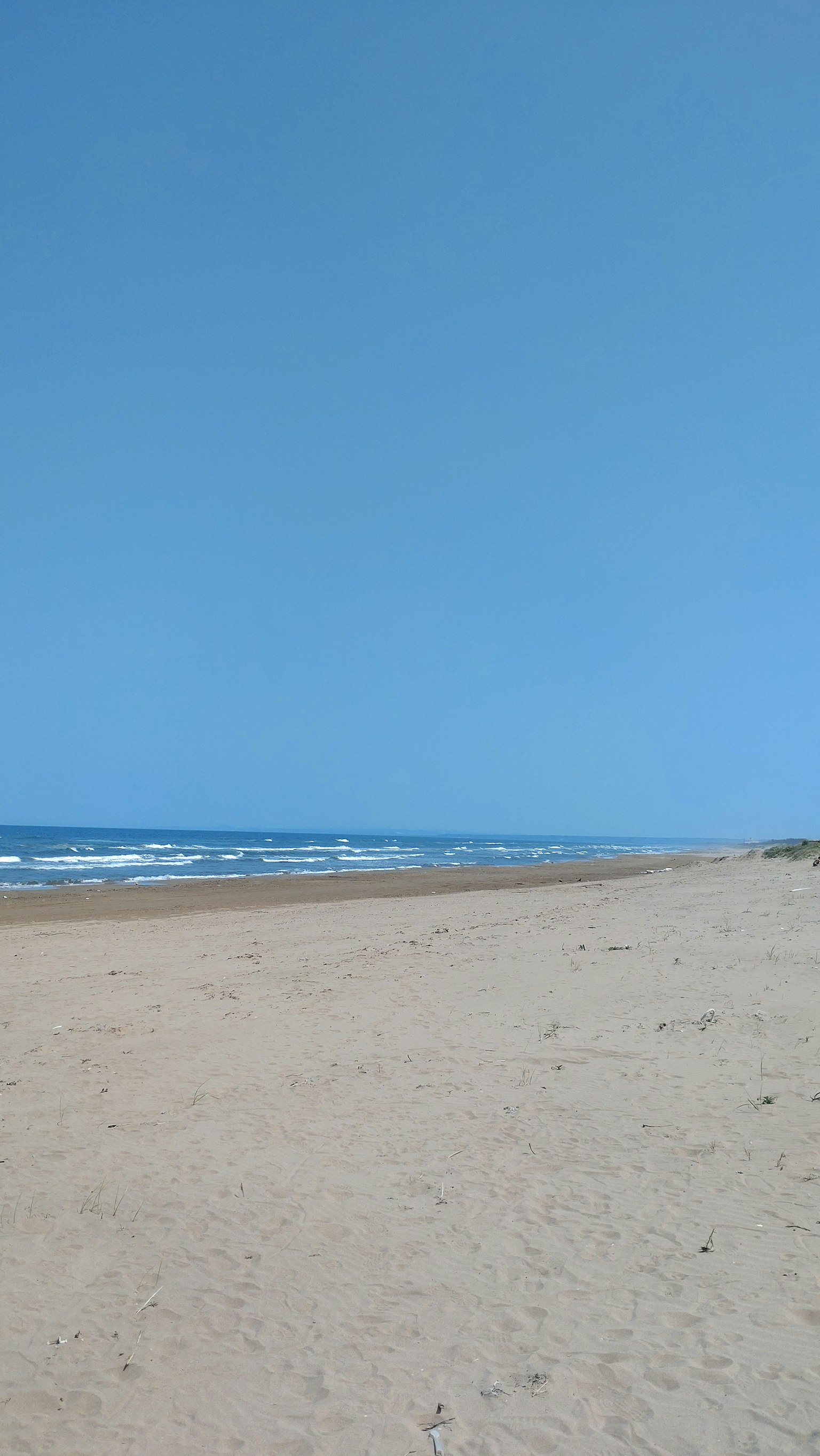 Langit biru cerah di atas pantai berpasir dengan ombak lembut