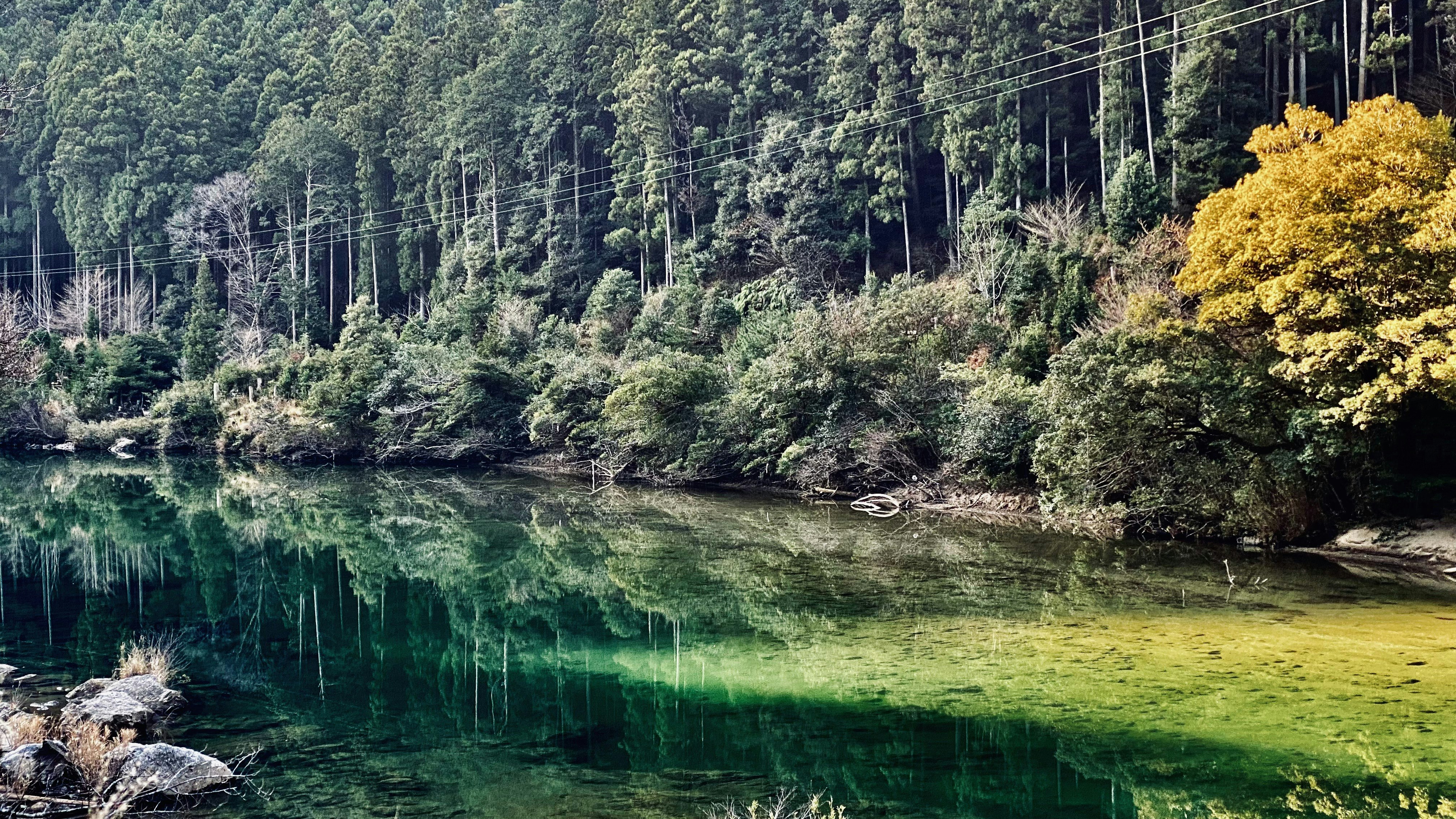 Sungai tenang dikelilingi hutan dan permukaan air yang tenang