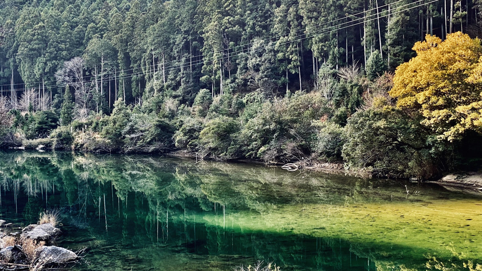 Ruhiger Waldsee umgeben von grünen und gelben Bäumen