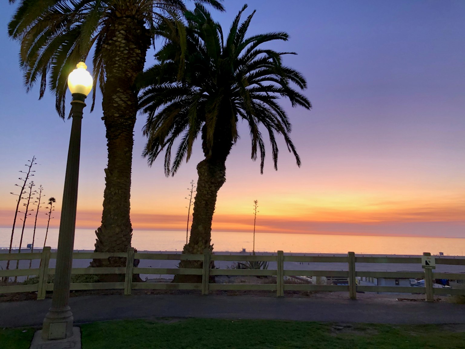 Palmen und Straßenlaterne bei Sonnenuntergang an der Küste