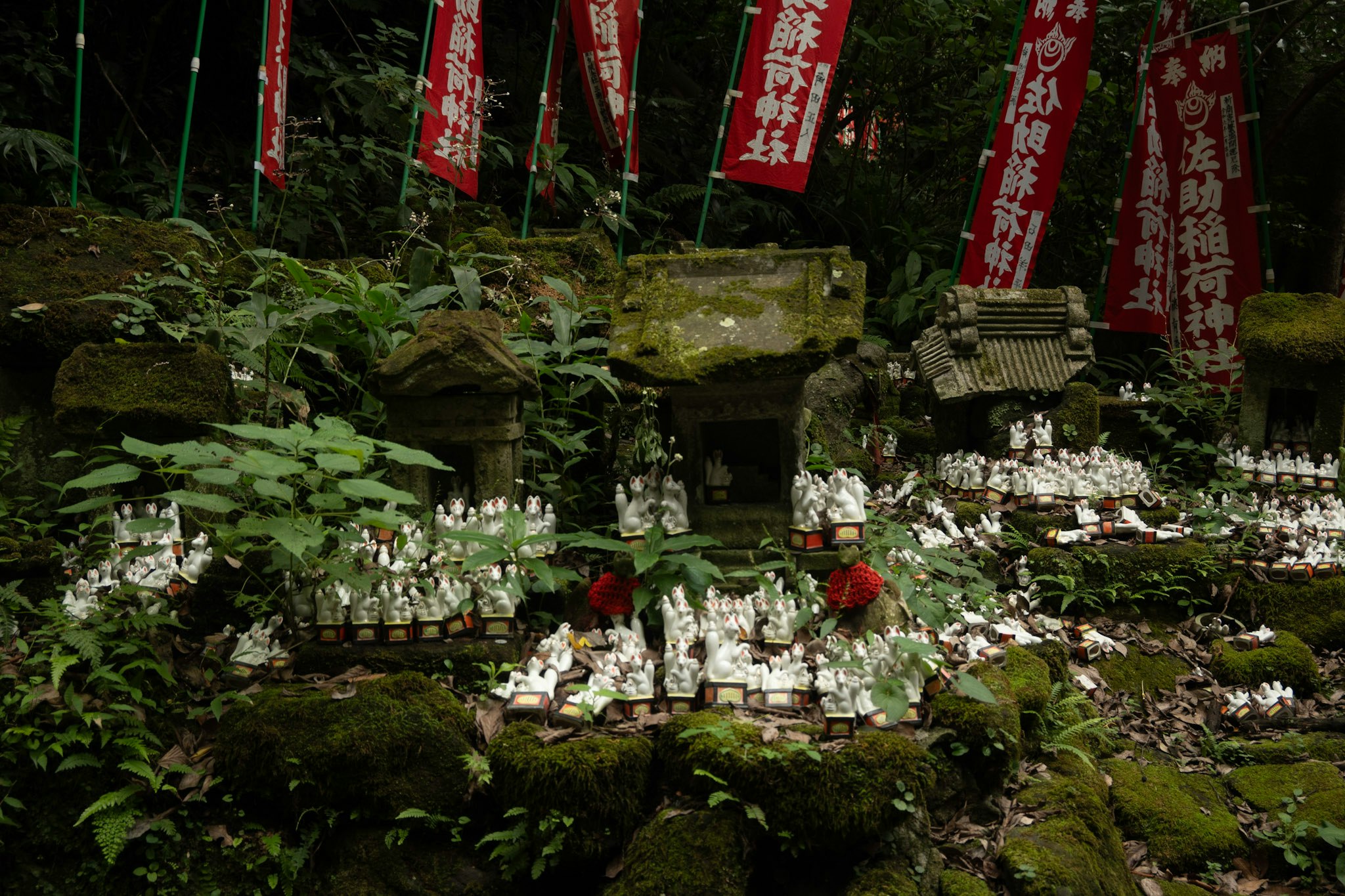 长满青苔的石阶前摆放供品的神社祭坛