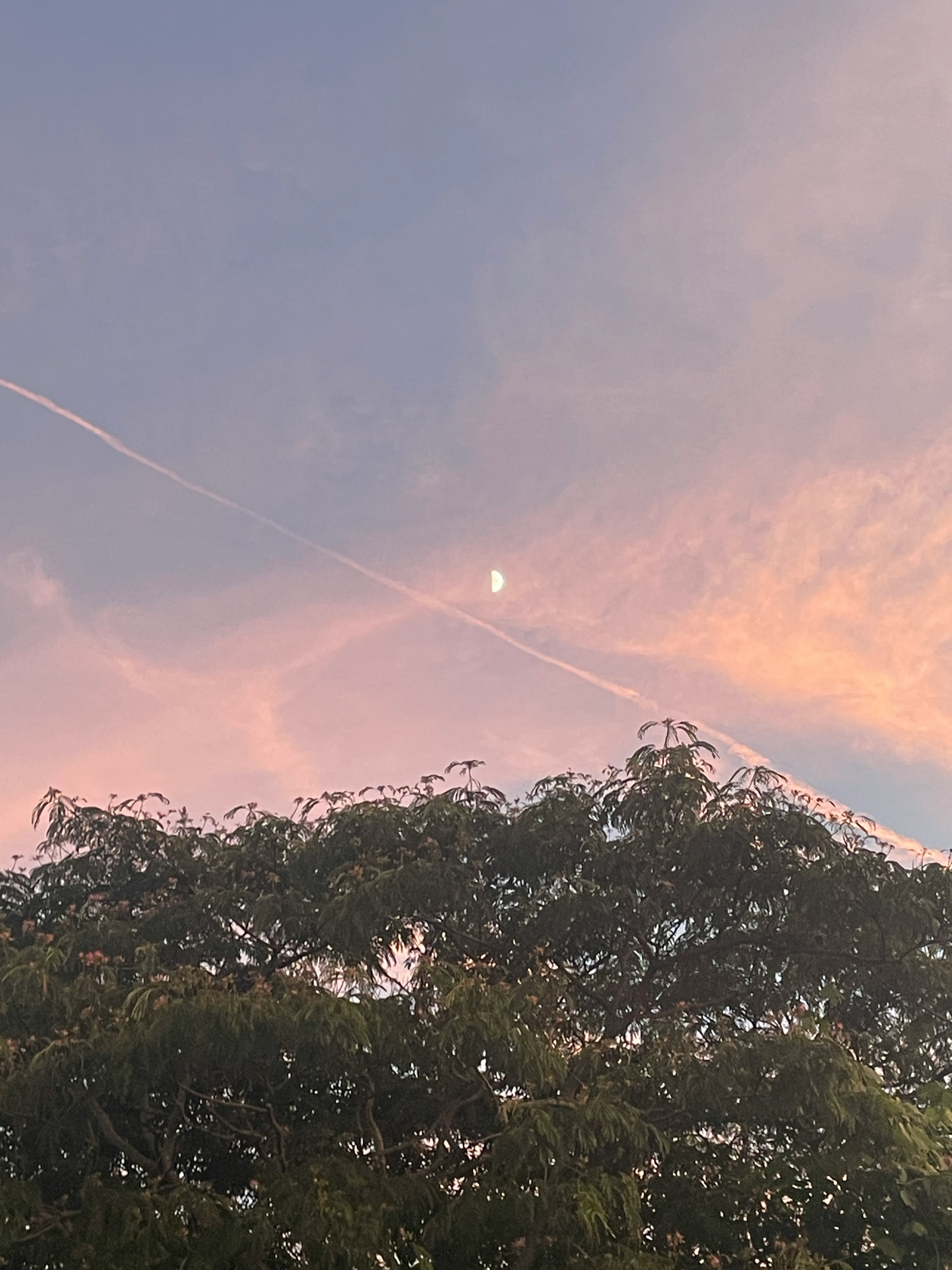 夕焼け空と山並み、木々のシルエットが広がる自然風景