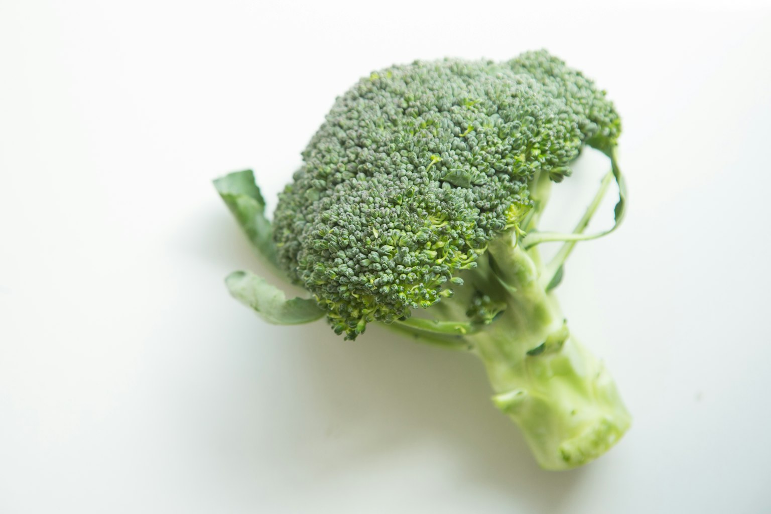 Brocoli vert vif mettant en valeur sa structure florale complexe