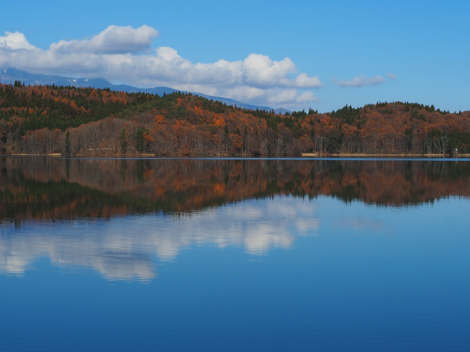 湖泊风景倒映出蓝天和白云 背景中有色彩斑斓的树木