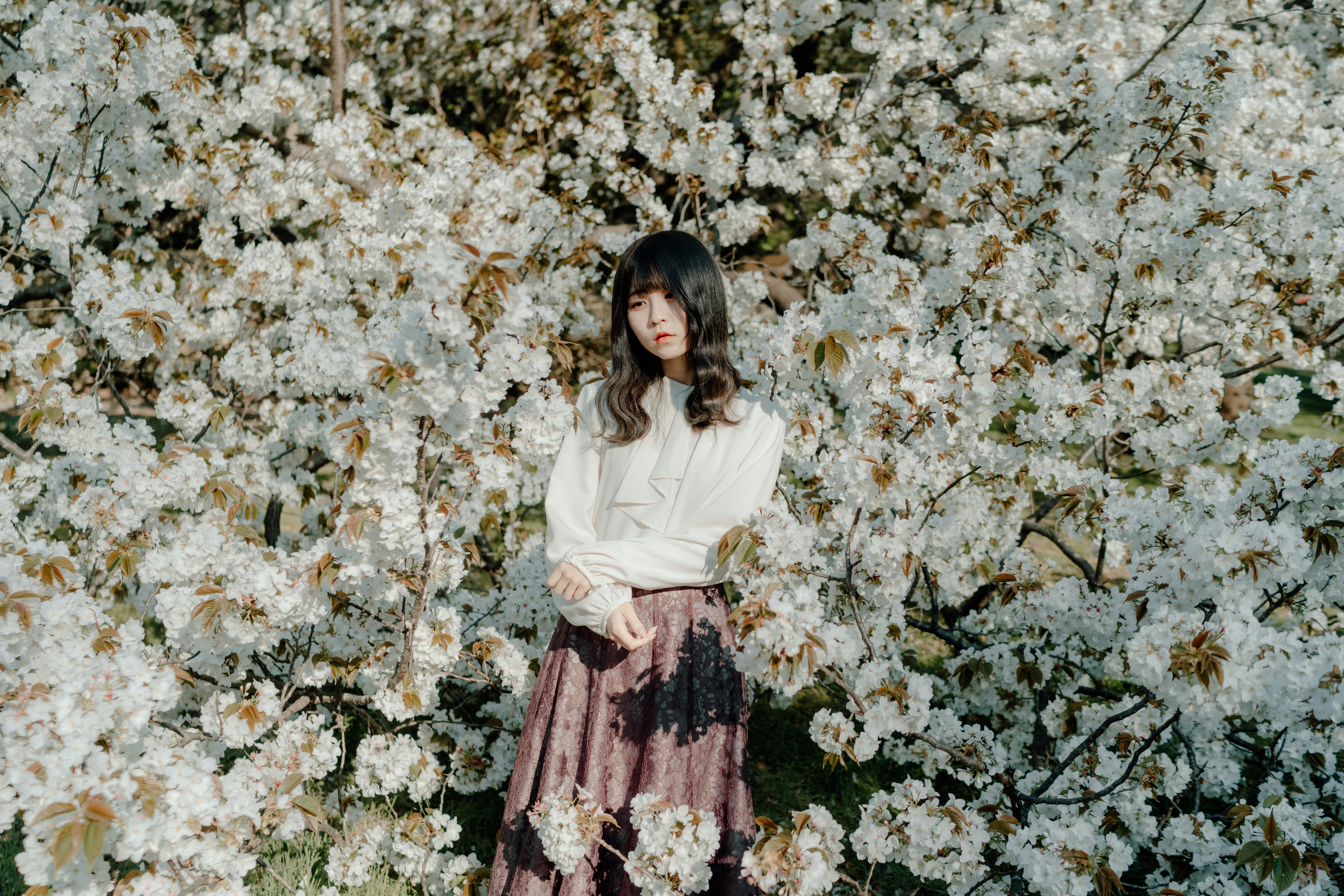 femme souriante parmi des fleurs de cerisier en pleine floraison