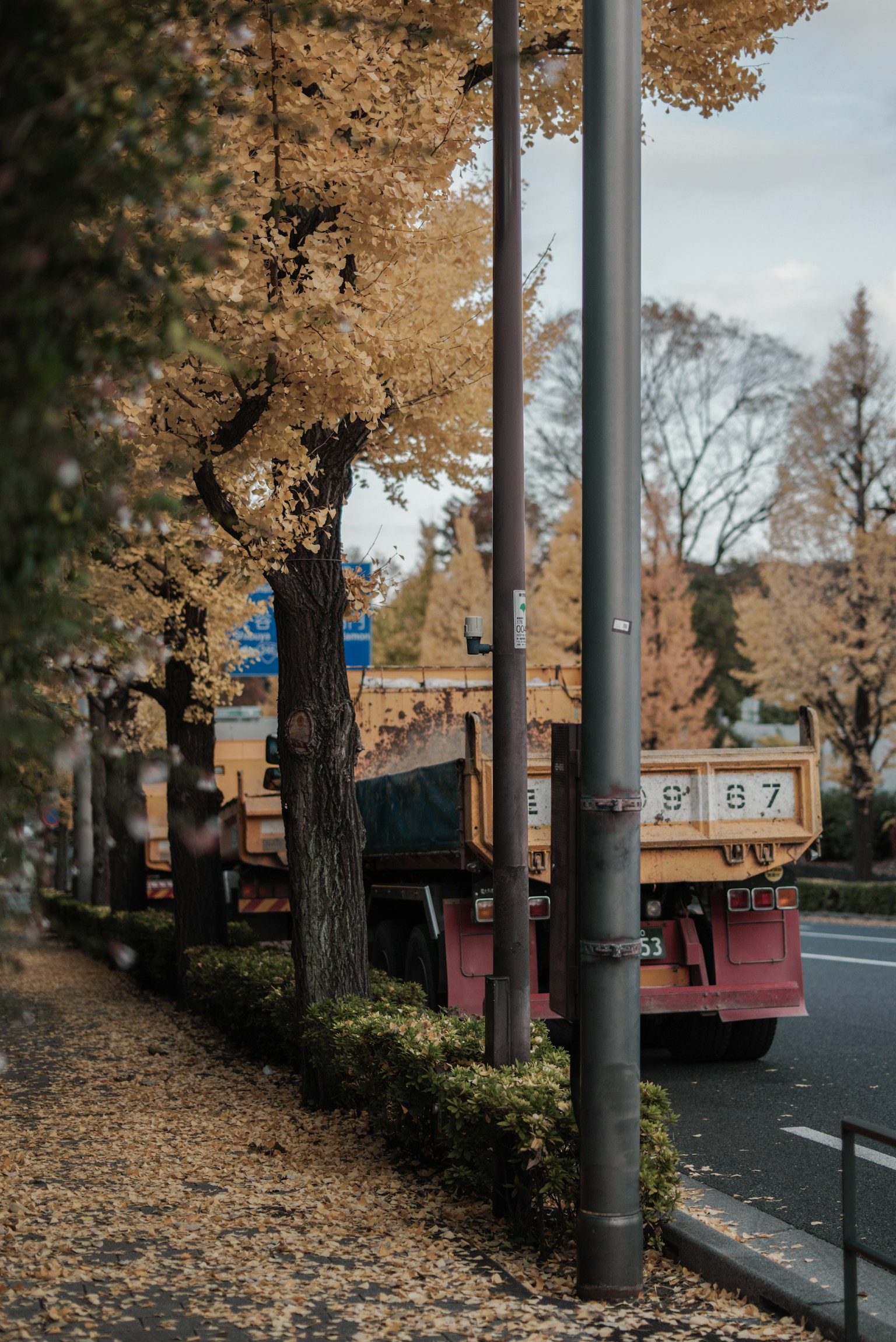 Truck parked along a street with autumn leaves on the ground