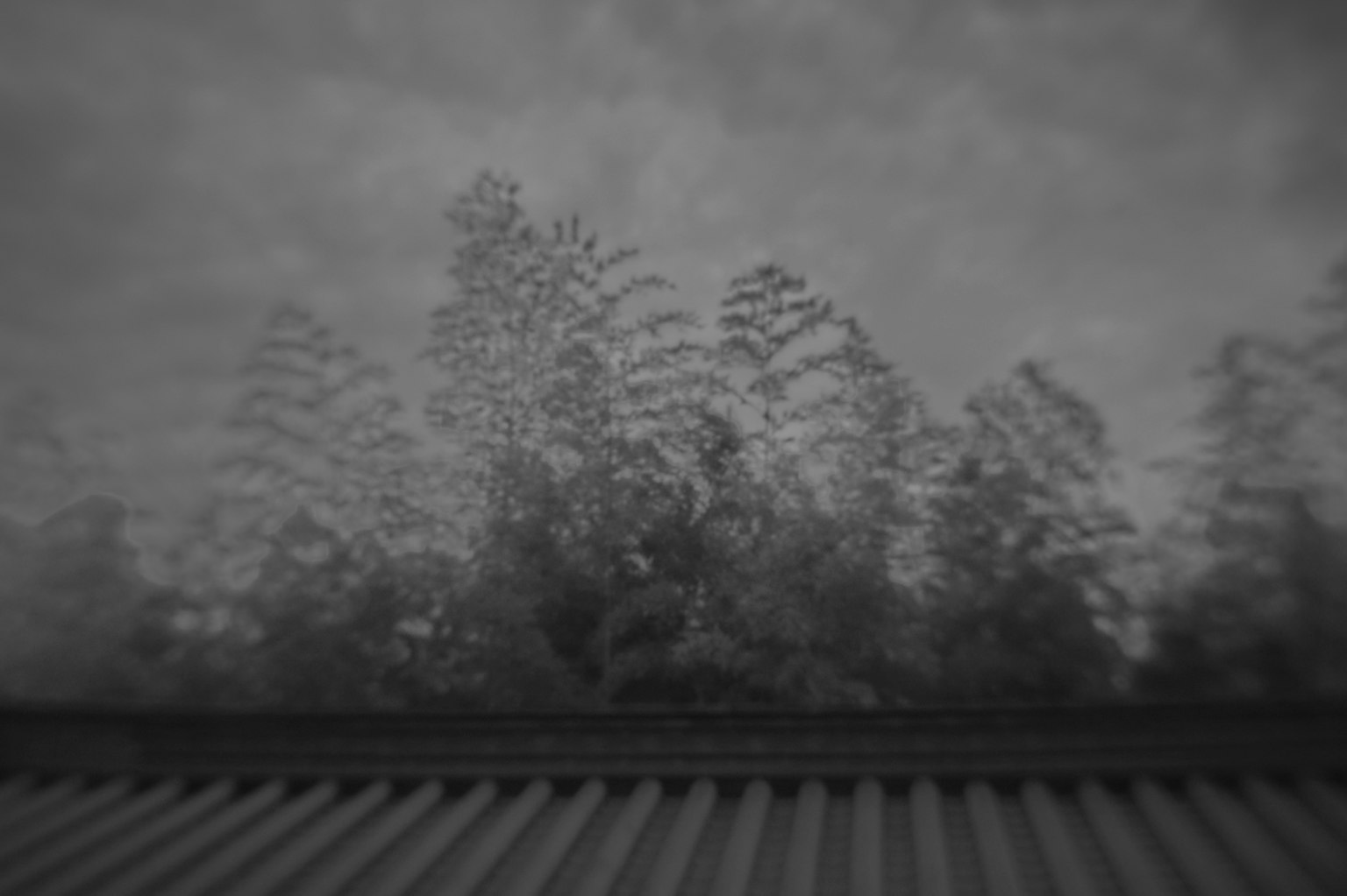 Silueta de árboles y techo en un paisaje en blanco y negro