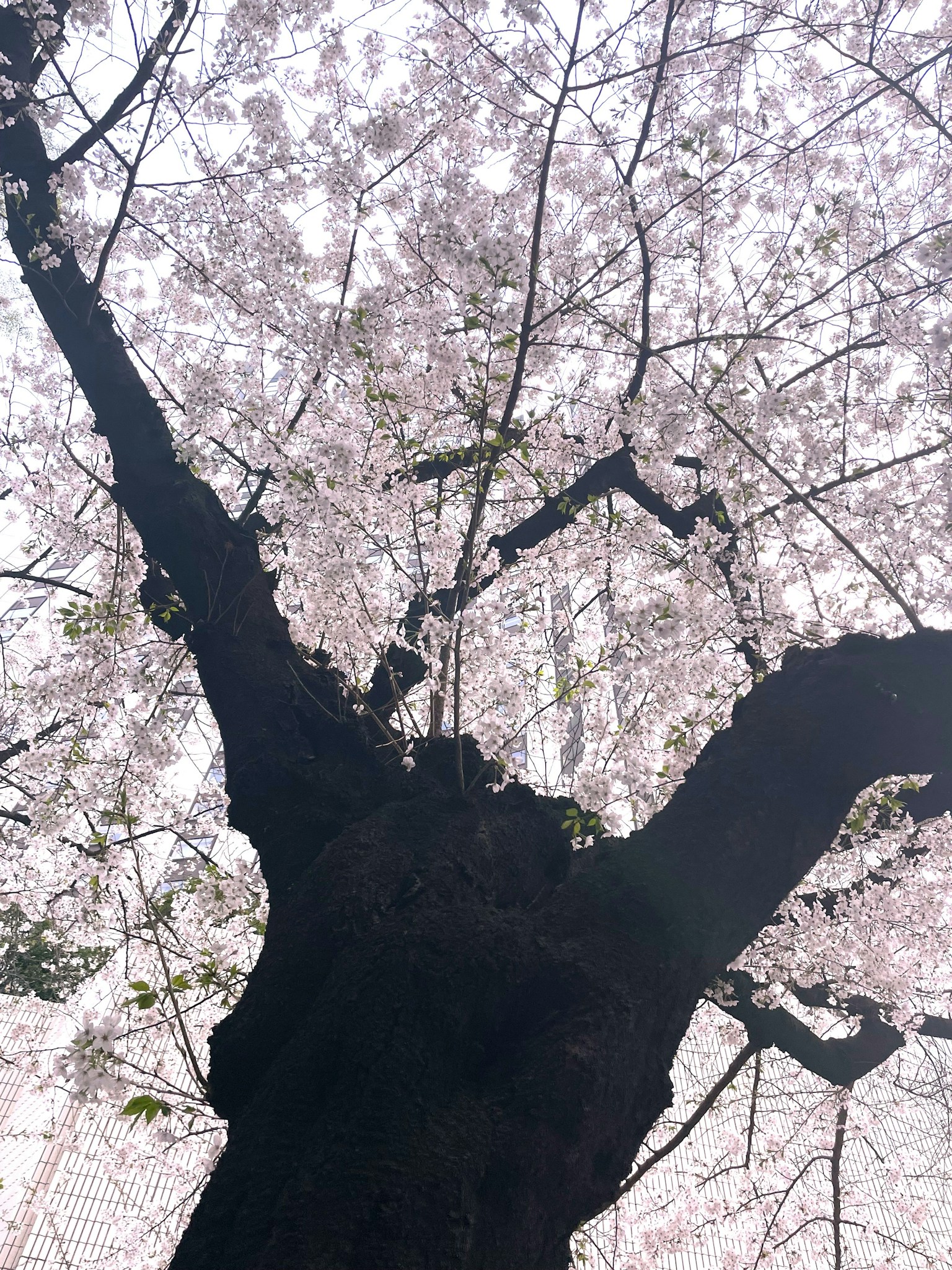 photo-Upem8uDaB0avdLaeD50S-image