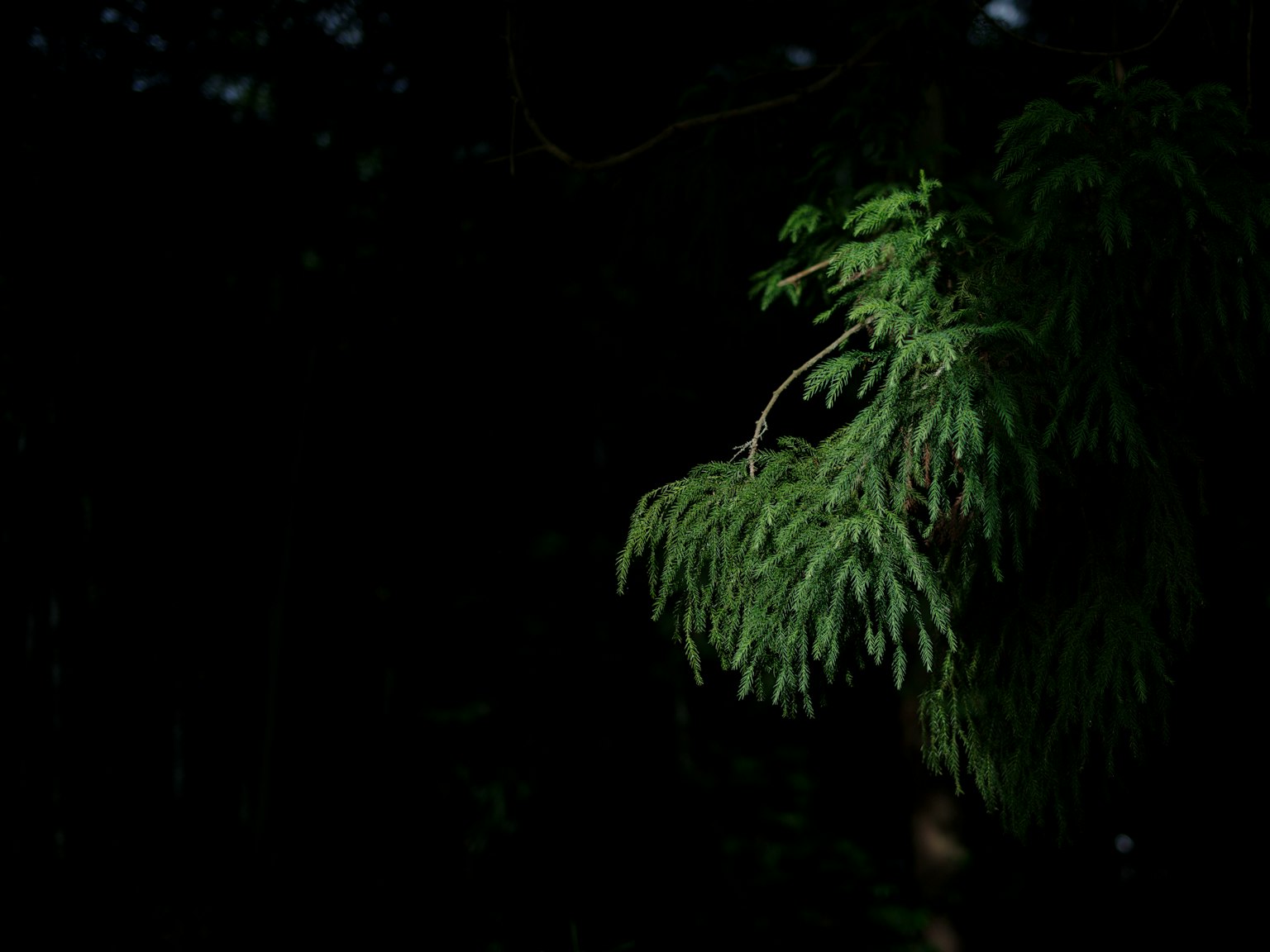 photo-Upfl2xTGuiN3XxnYcL5U-image