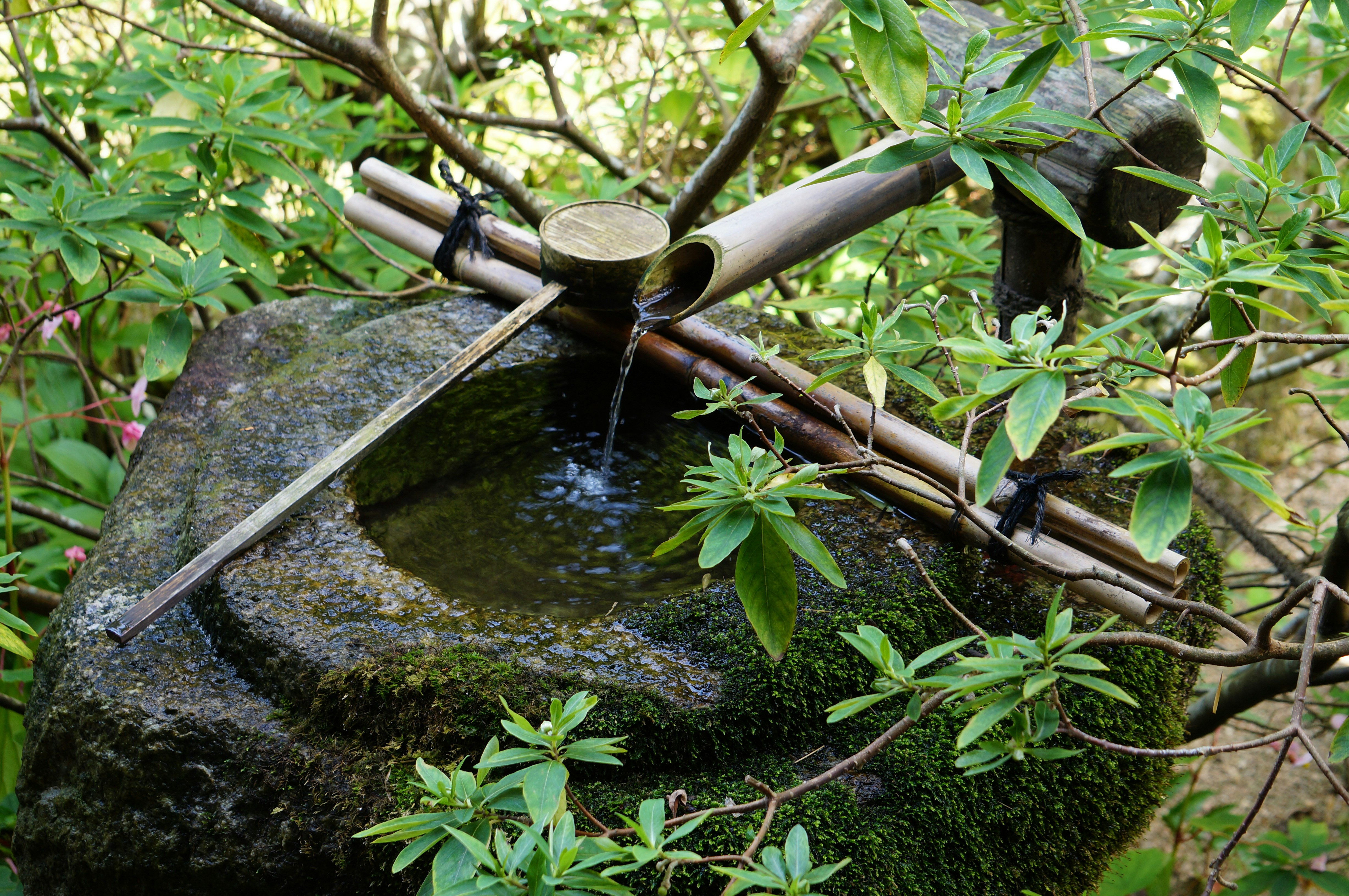 moosiger Wasserbecken mit kleinem Wasserstrahl aus Bambusrohren
