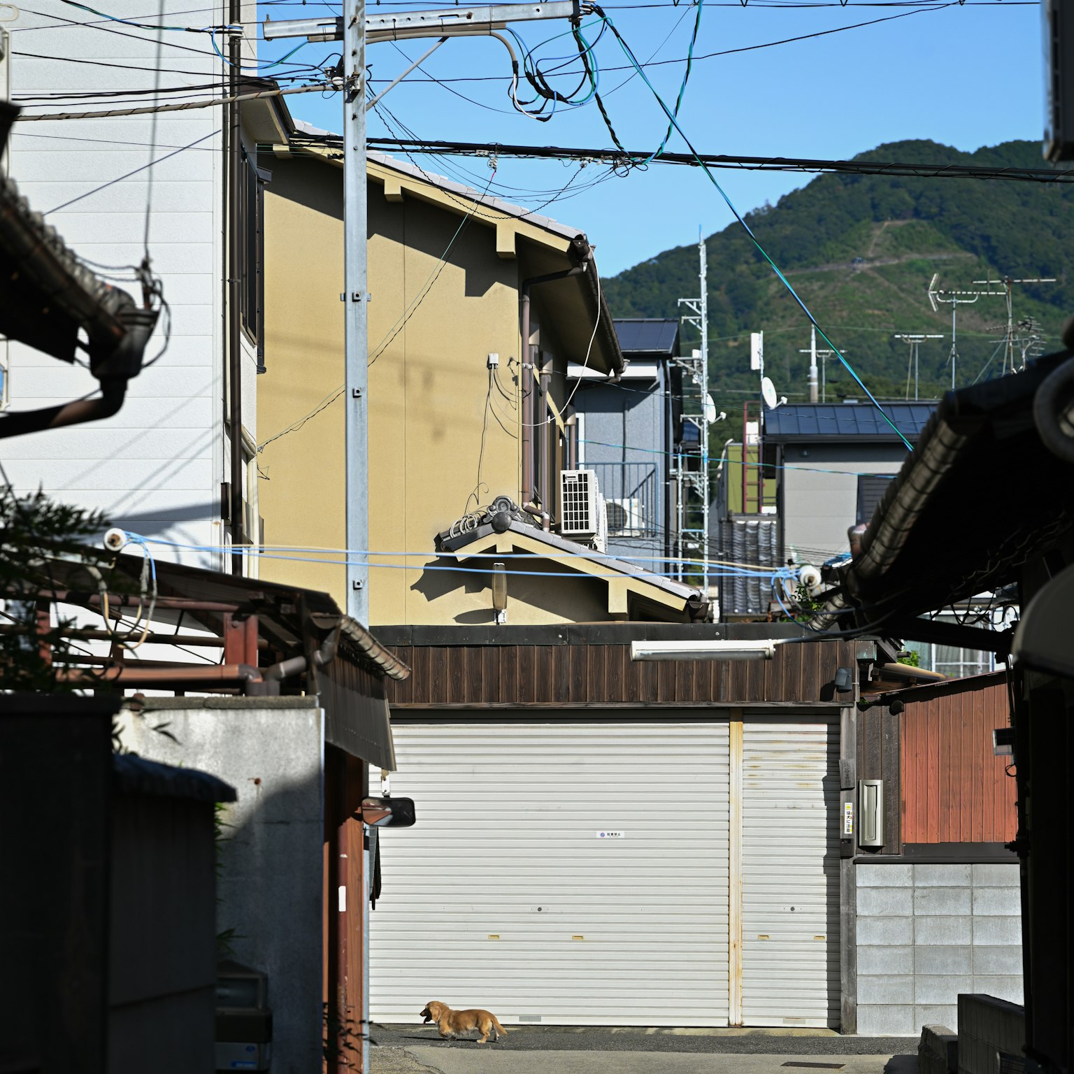 狭い路地にある住宅と山の景色が見える