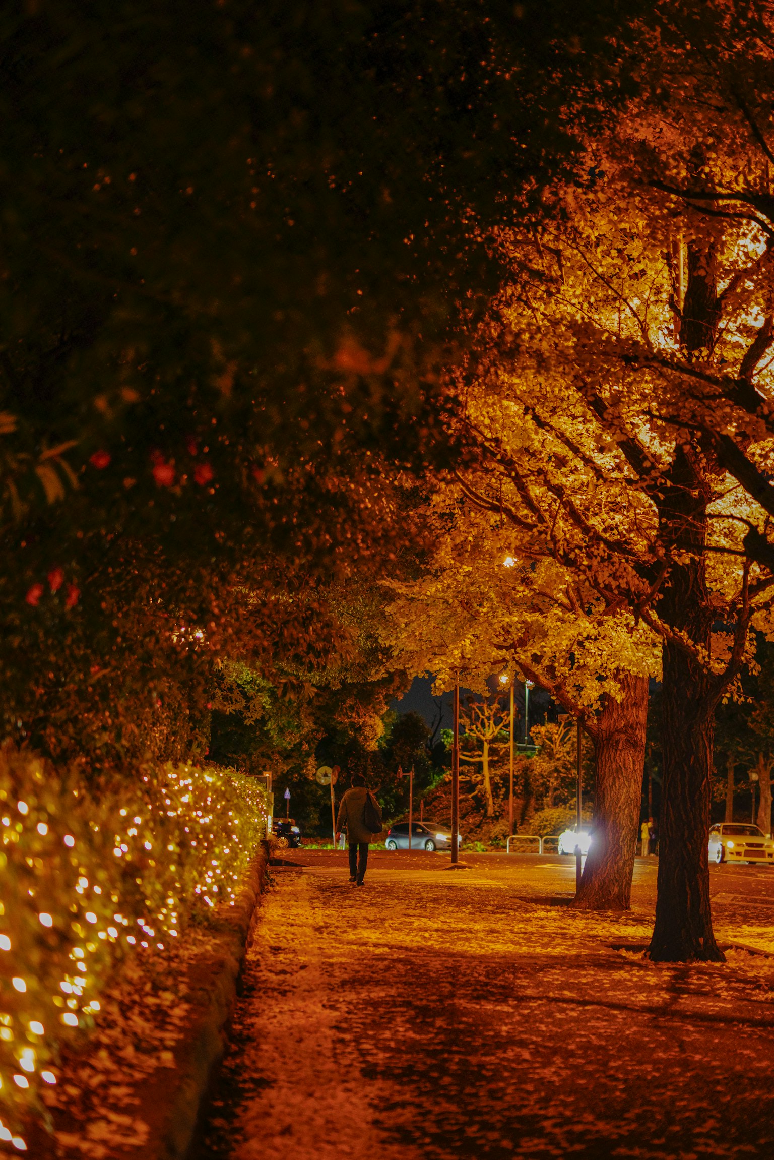 Ein ruhiger Herbstweg, beleuchtet von warmen orangefarbenen Lichtern