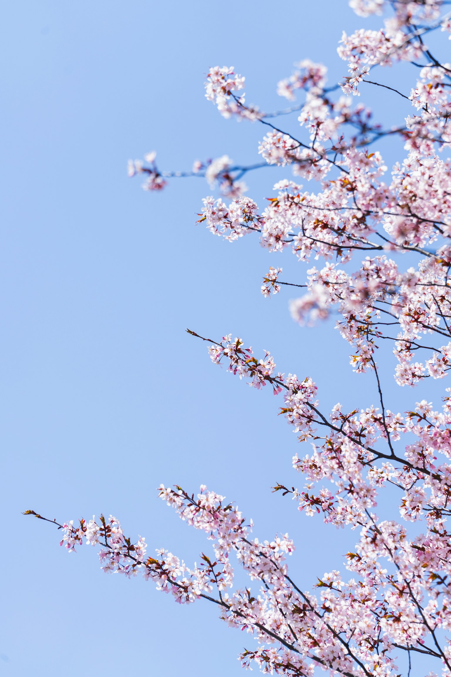 photo-UqShjThUo5m1kZwcyWH9-image