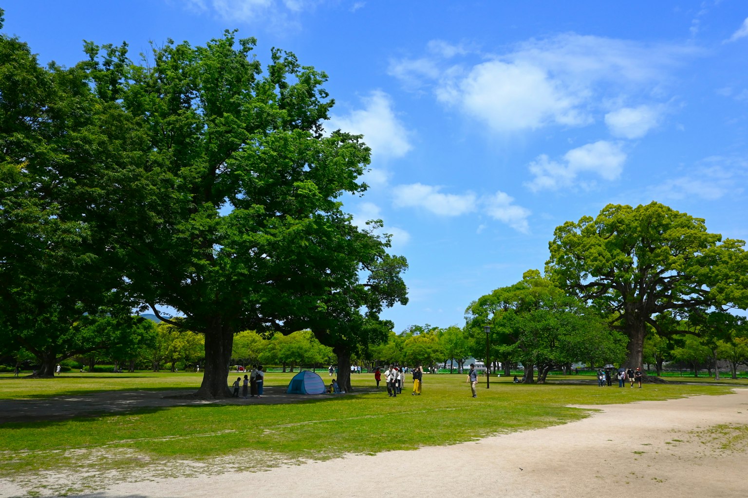 藍天下郁郁蔥蔥的公園場景，有大樹和享受戶外的人們