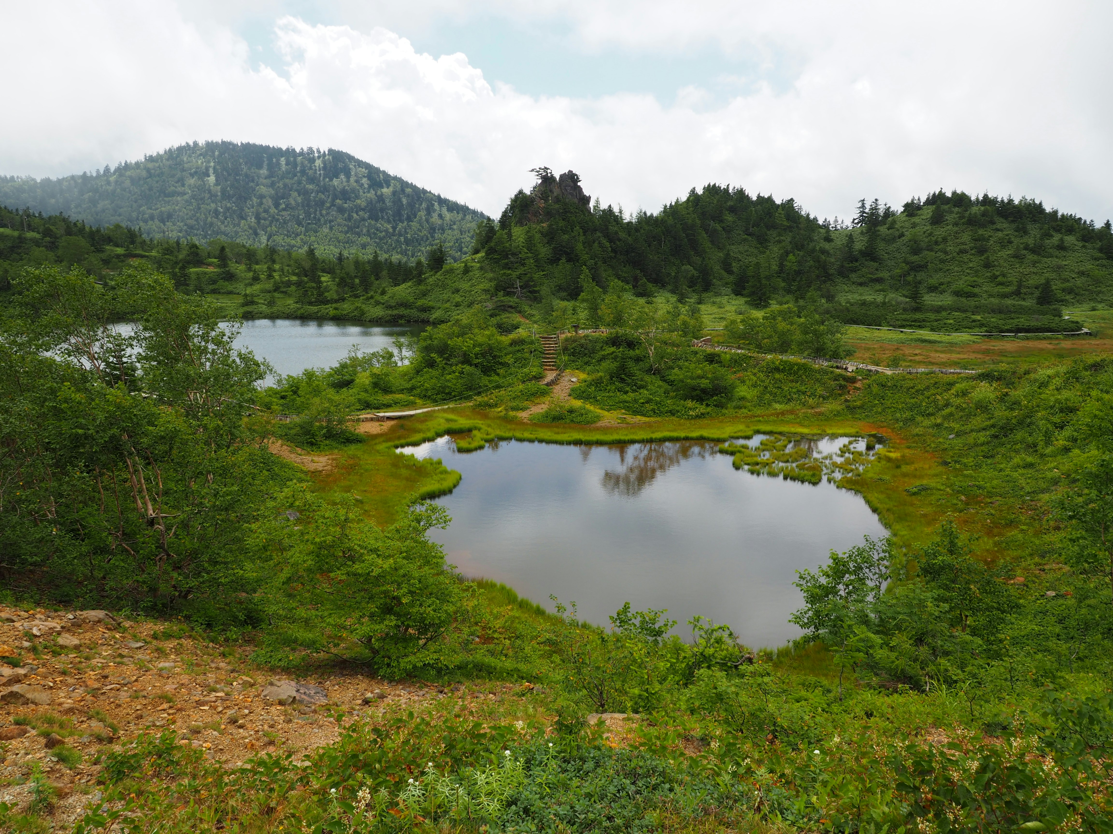 緑の山並みと湖を望む自然風景