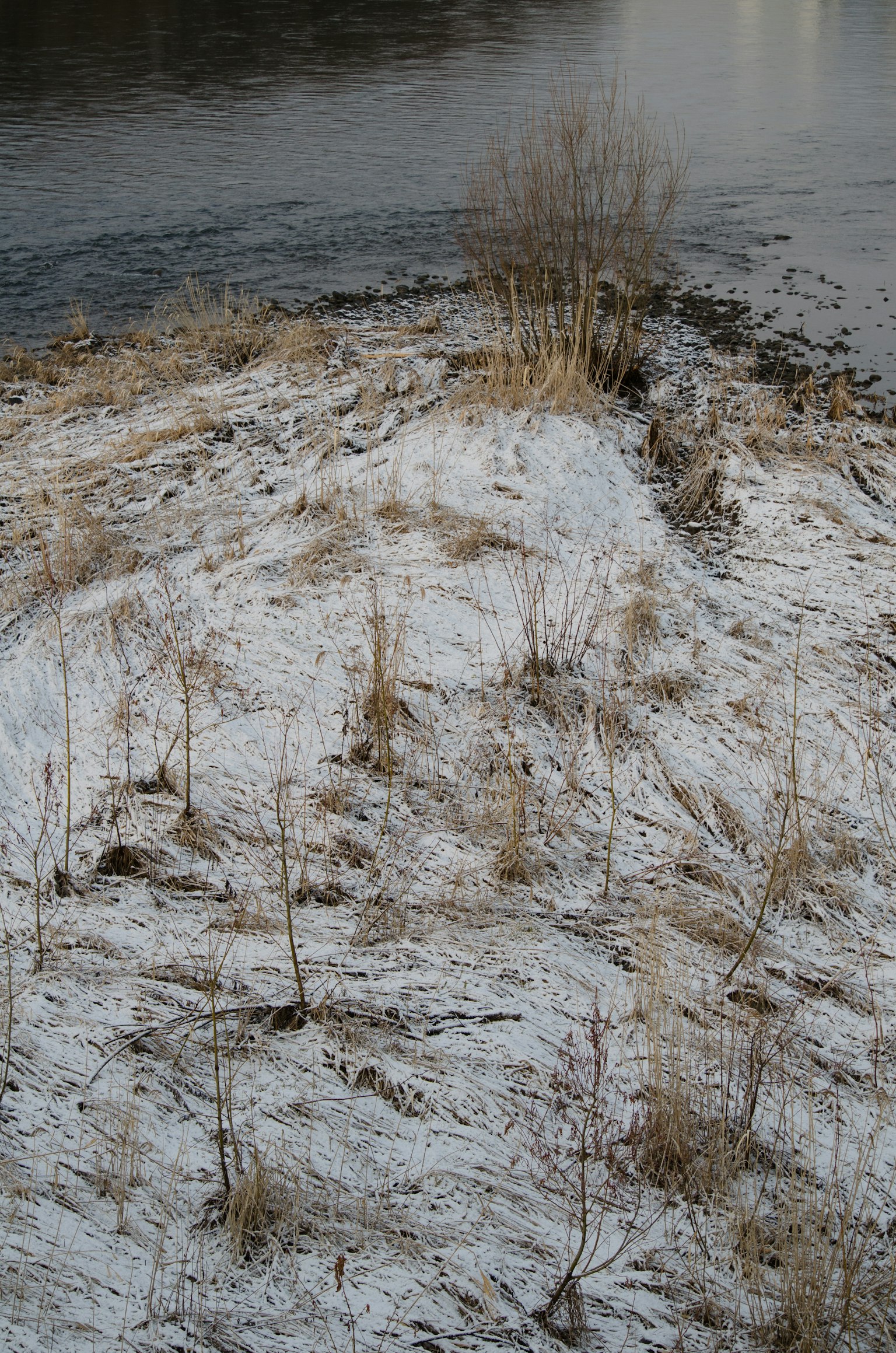 Pradera cubierta de nieve junto a un río