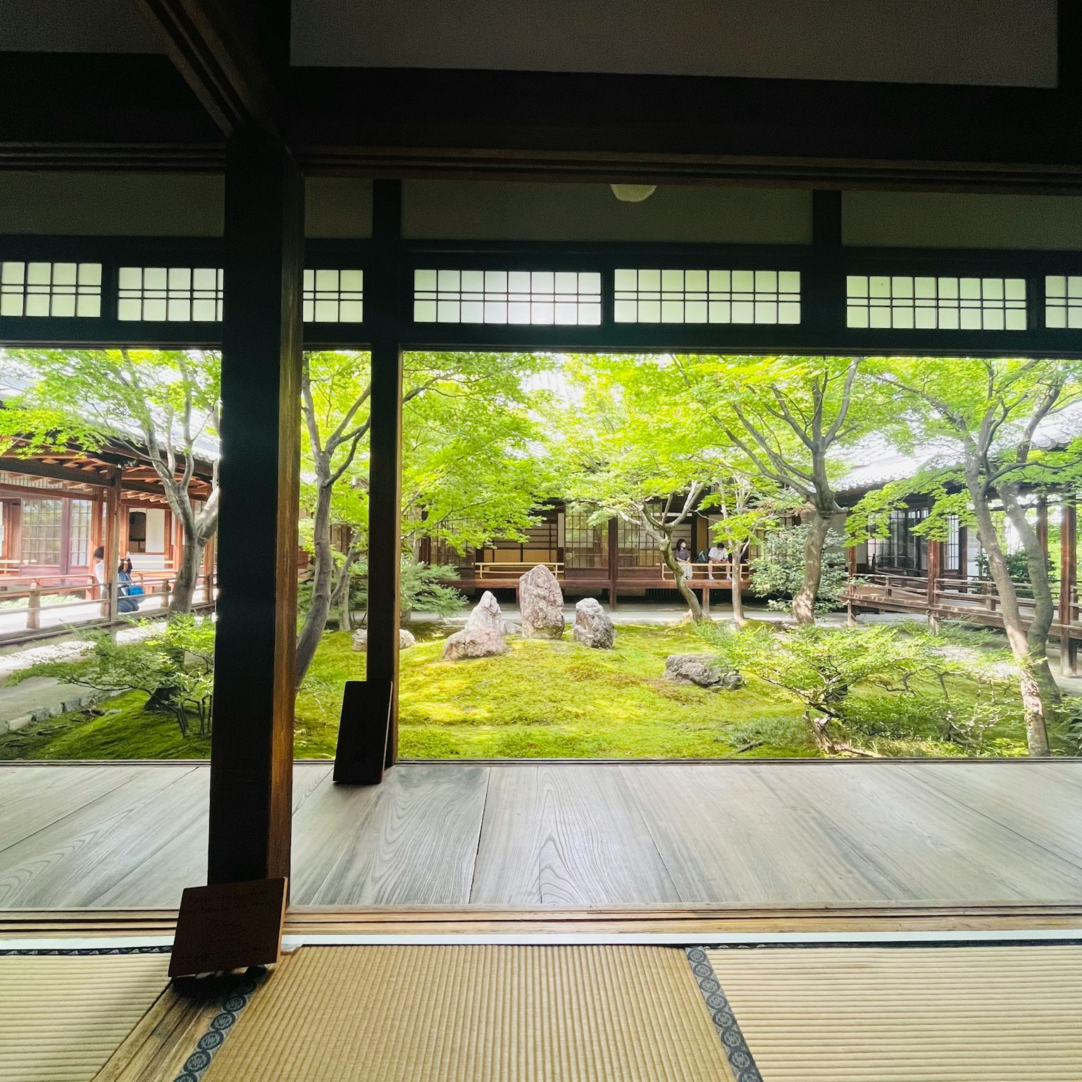 Interior view of a traditional Japanese room overlooking a lush garden with trees and stones