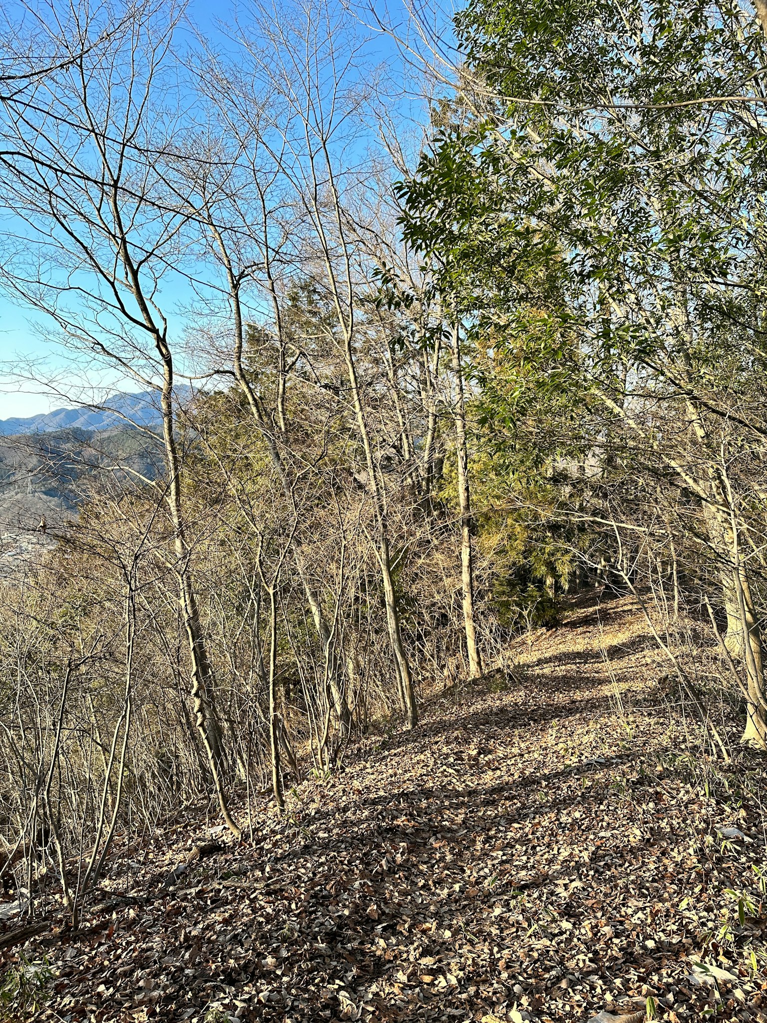 風景如畫的山路兩旁是樹木，藍天晴朗