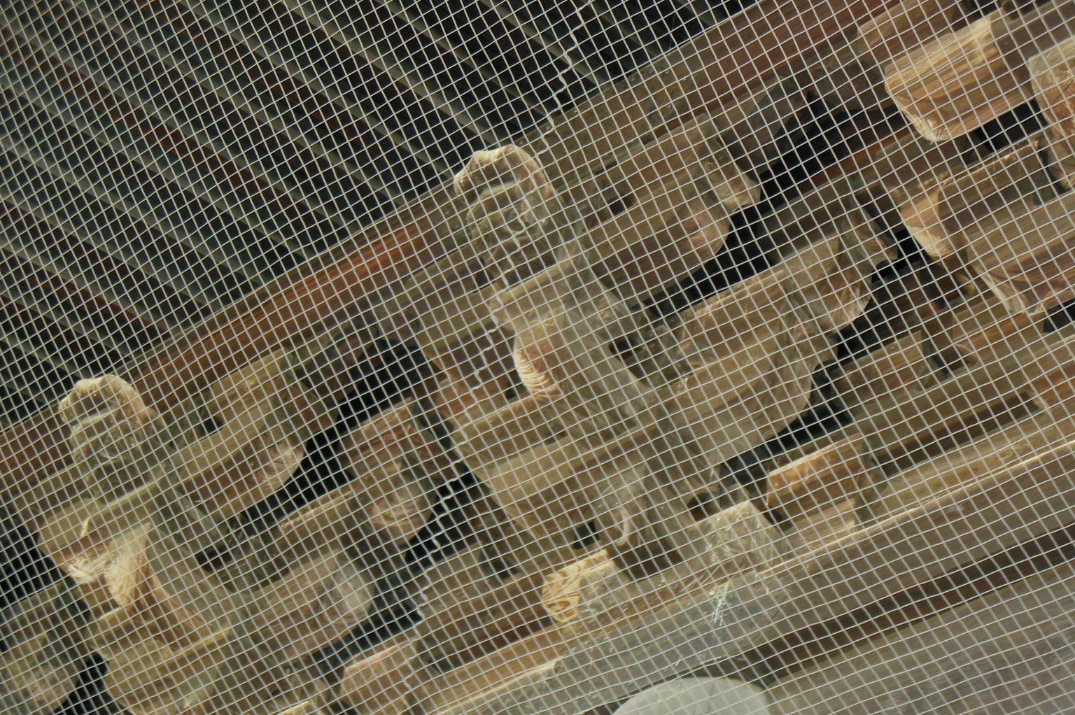 Detailed wooden carvings seen through a mesh screen