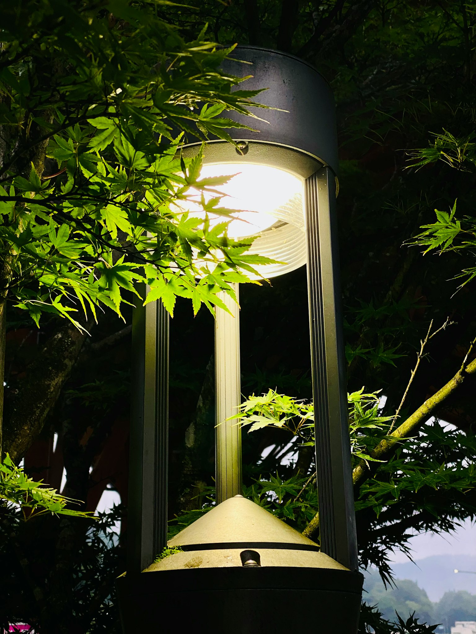 現代燈具被綠色葉子環繞