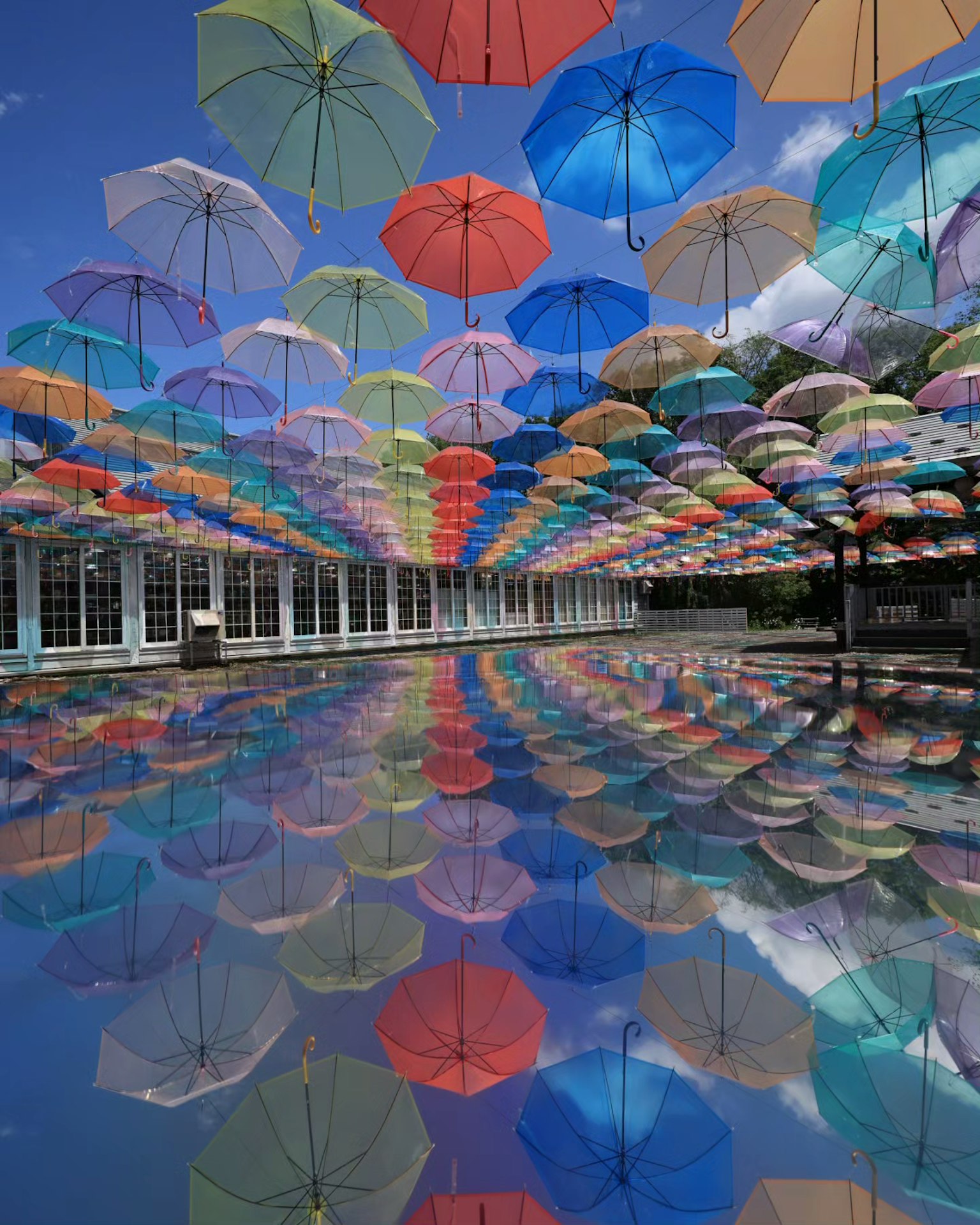 Colorful umbrellas suspended in the sky with reflections on the water surface