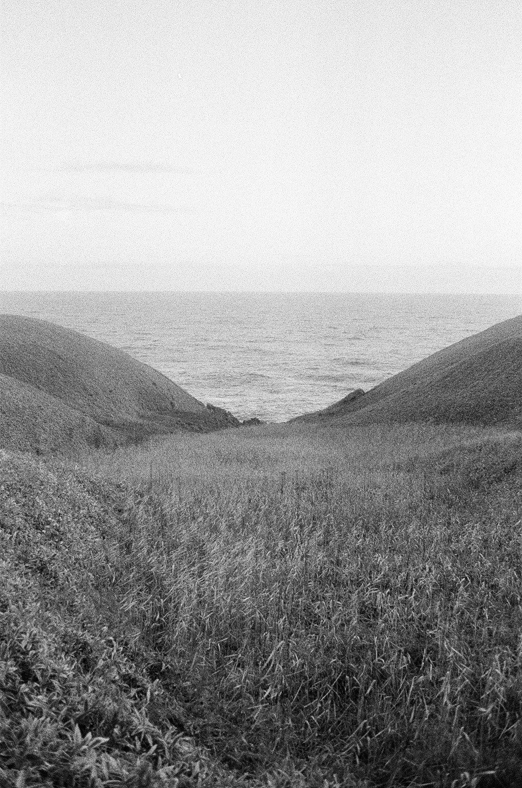 ein grasiger Pfad führt zum Meer und zu sanften Hügeln