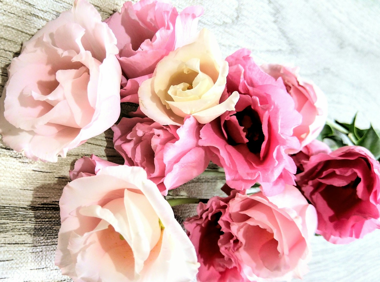 Ein Bündel rosa und cremefarbener Rosen auf einer Holzoberfläche angeordnet