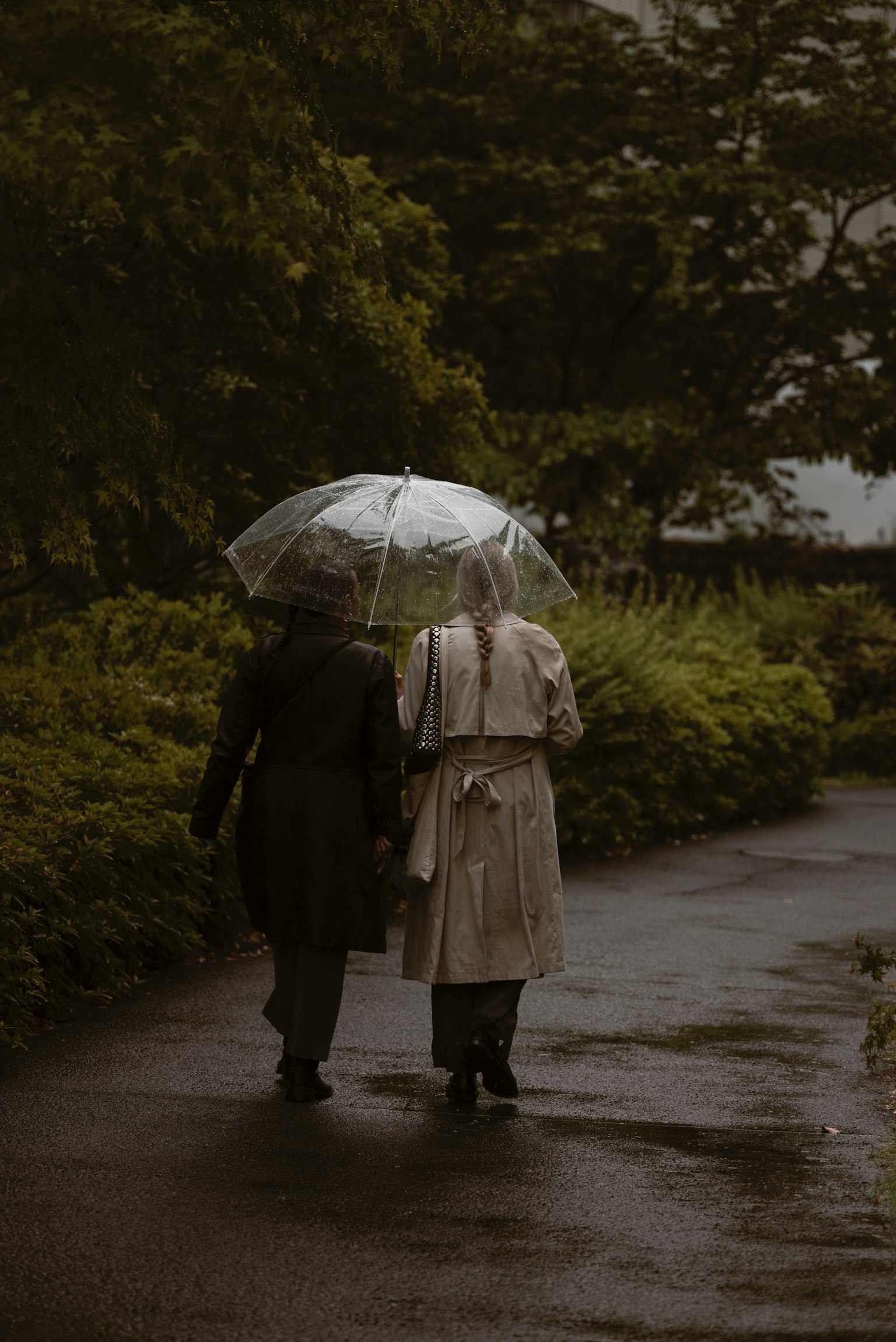 ผู้หญิงสองคนเดินถือร่มใสบนเส้นทางที่เปียกชื้นล้อมรอบด้วยพืชพรรณ