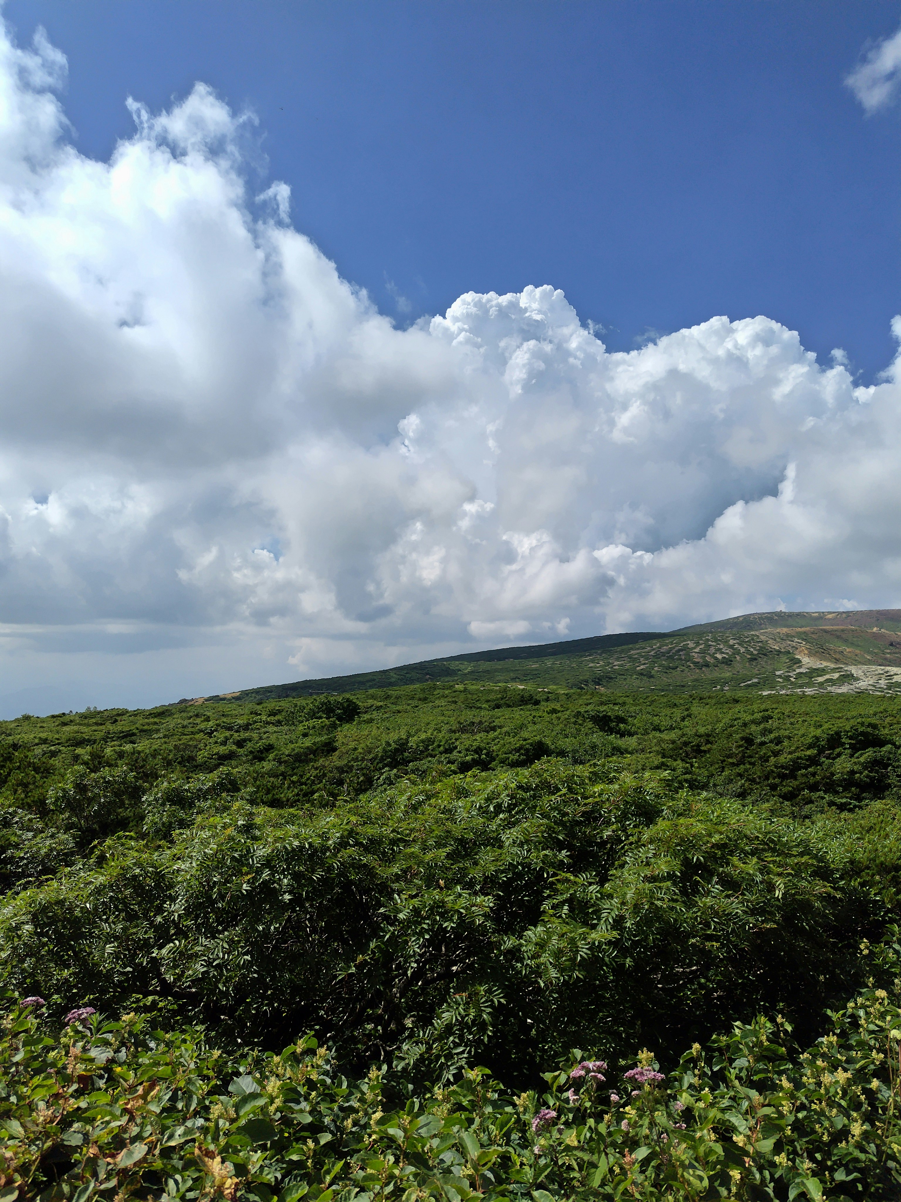 雲の多い青空の下に広がる緑の山の自然風景