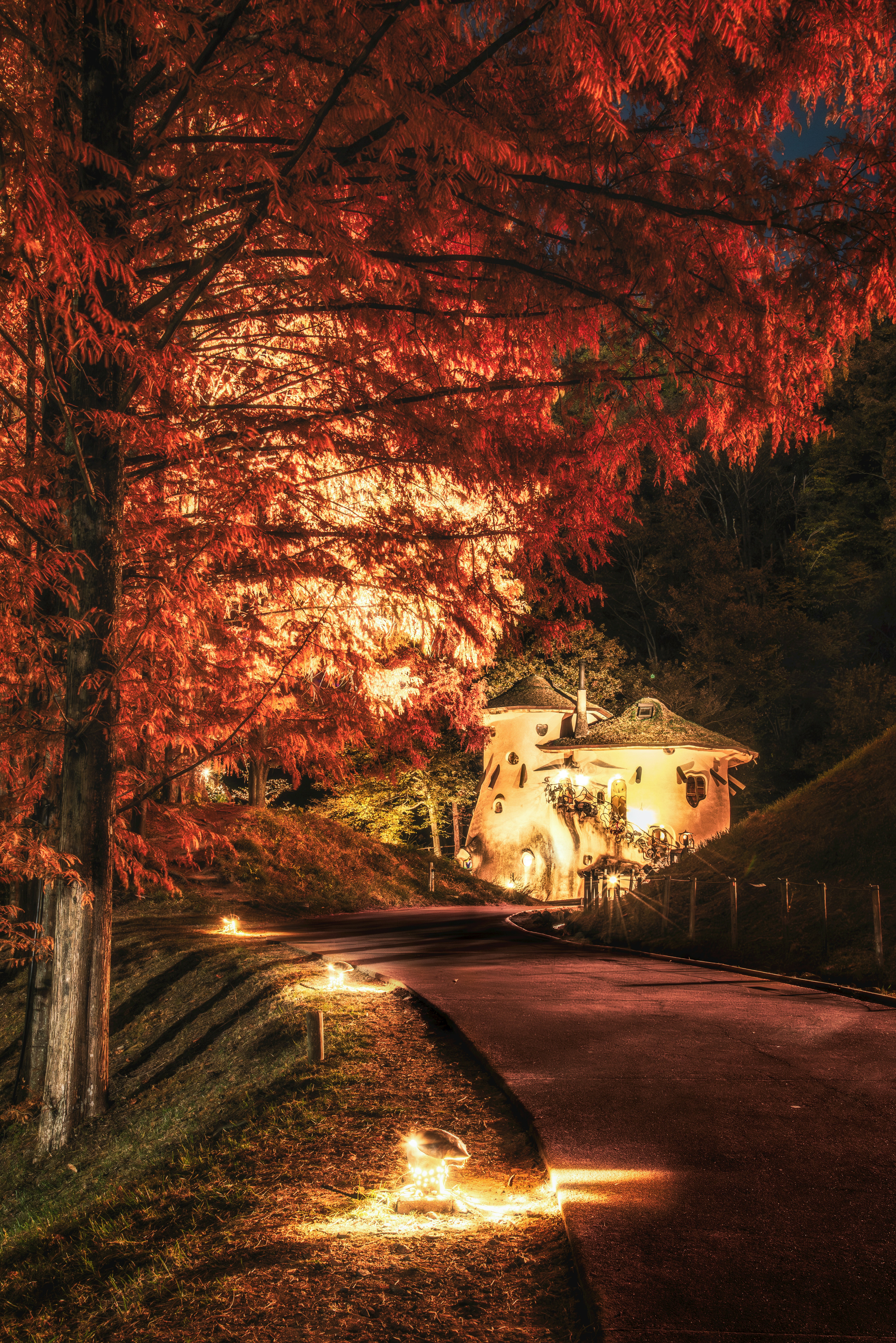 night scene of a small house and path lights surrounded by red trees