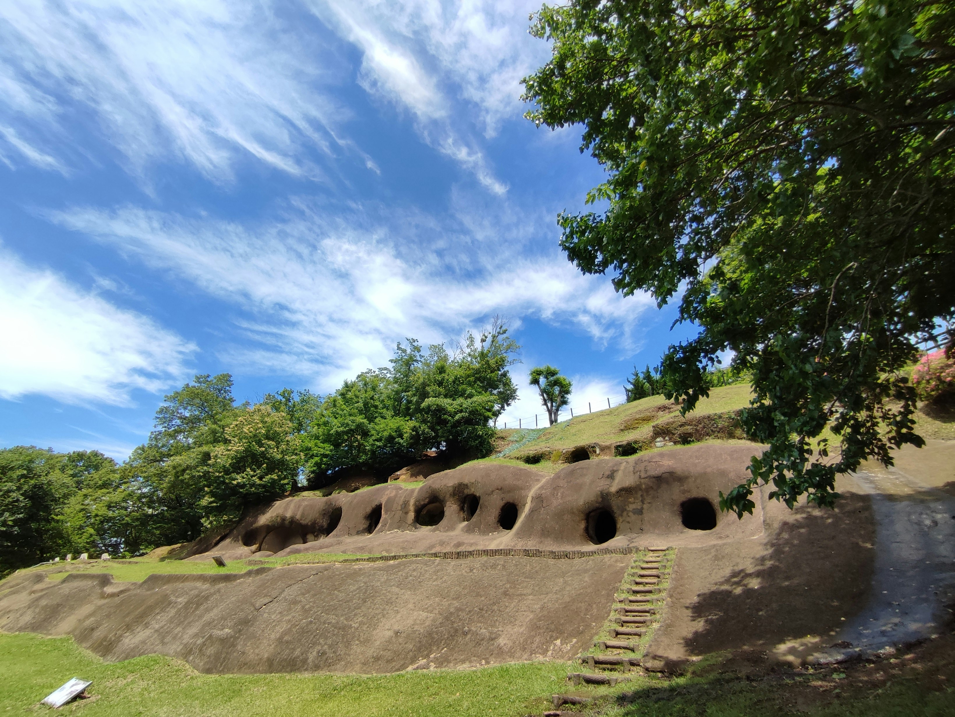 park landscape with grassy hill and dirt berms