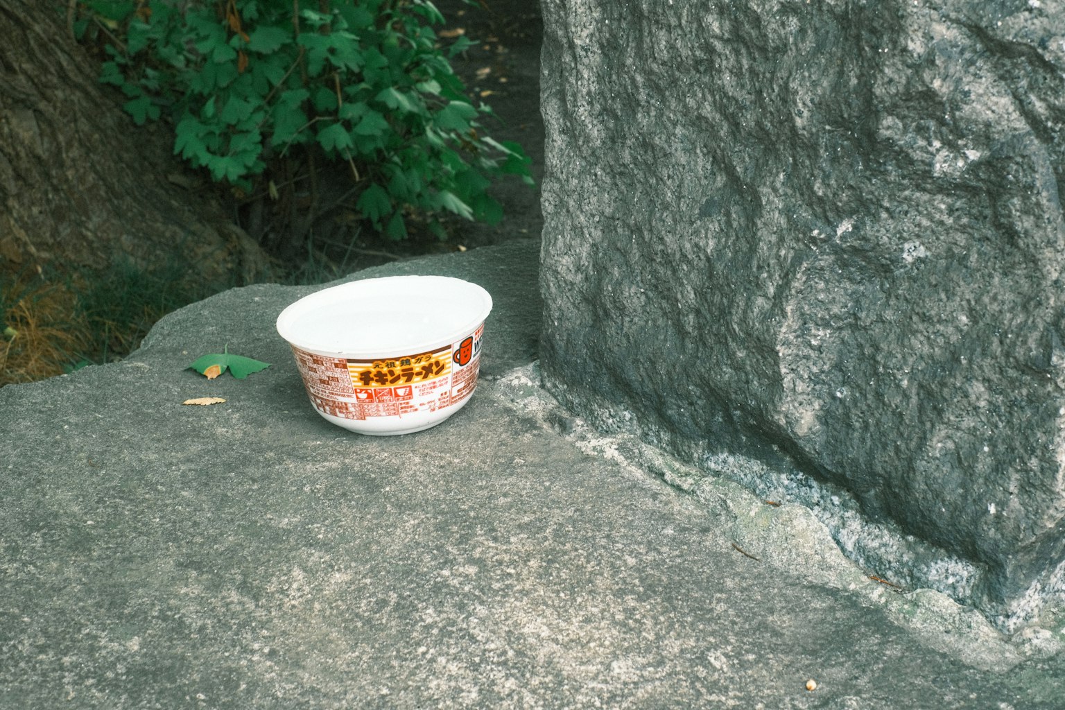 靠近岩石的白色碗與綠色背景