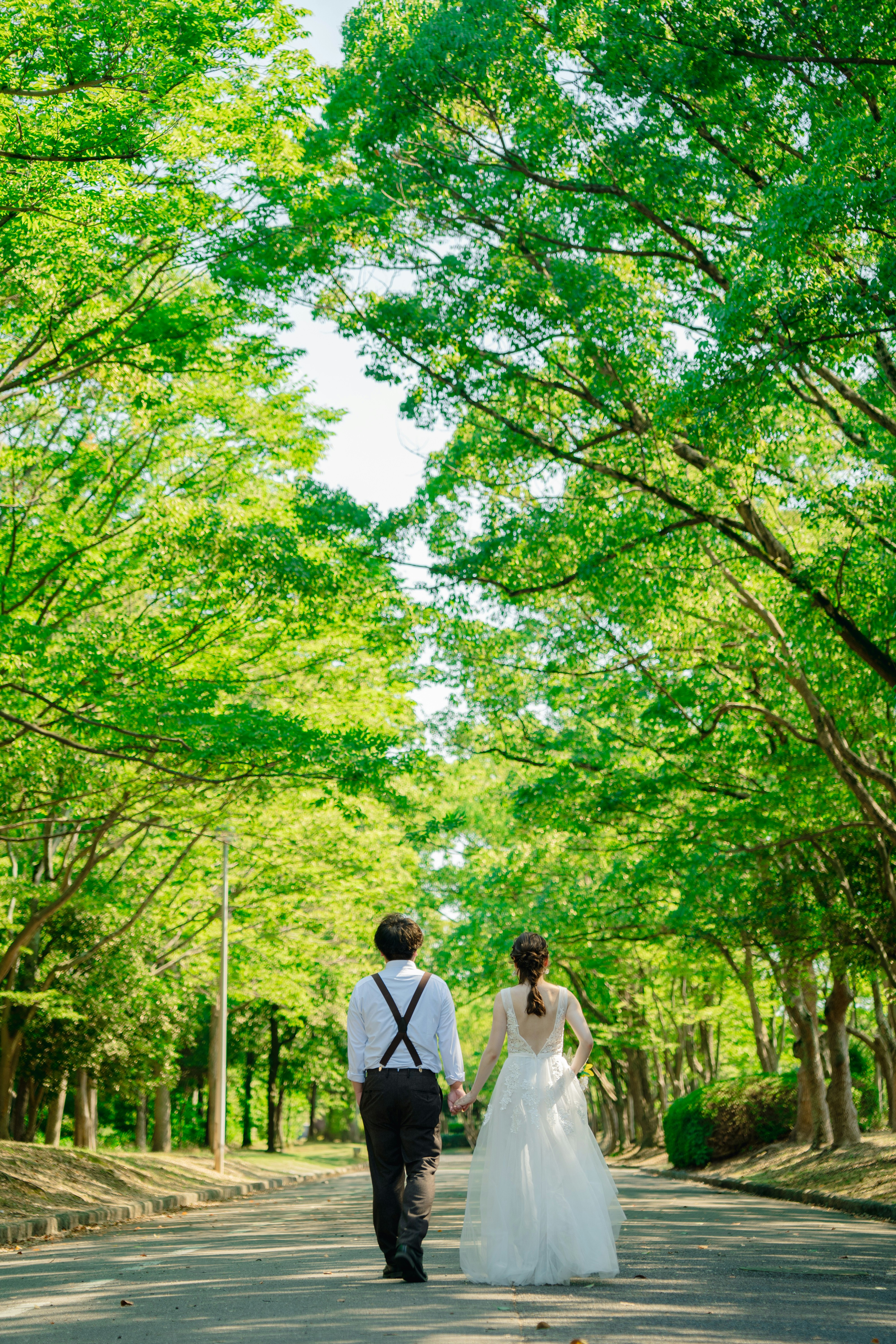 並木道を歩く新郎新婦の後ろ姿