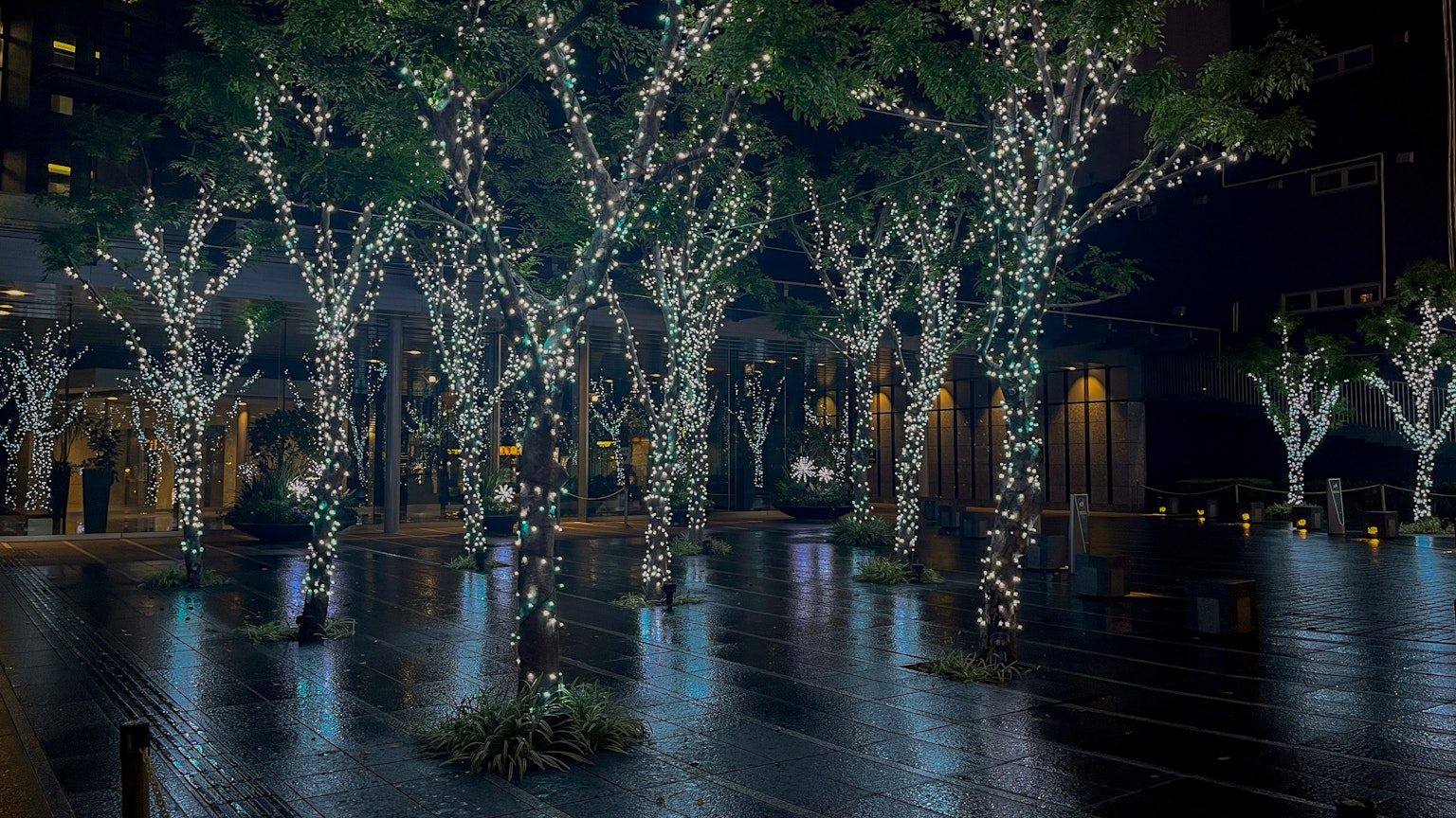 Escena nocturna con árboles iluminados adornados con luces blancas