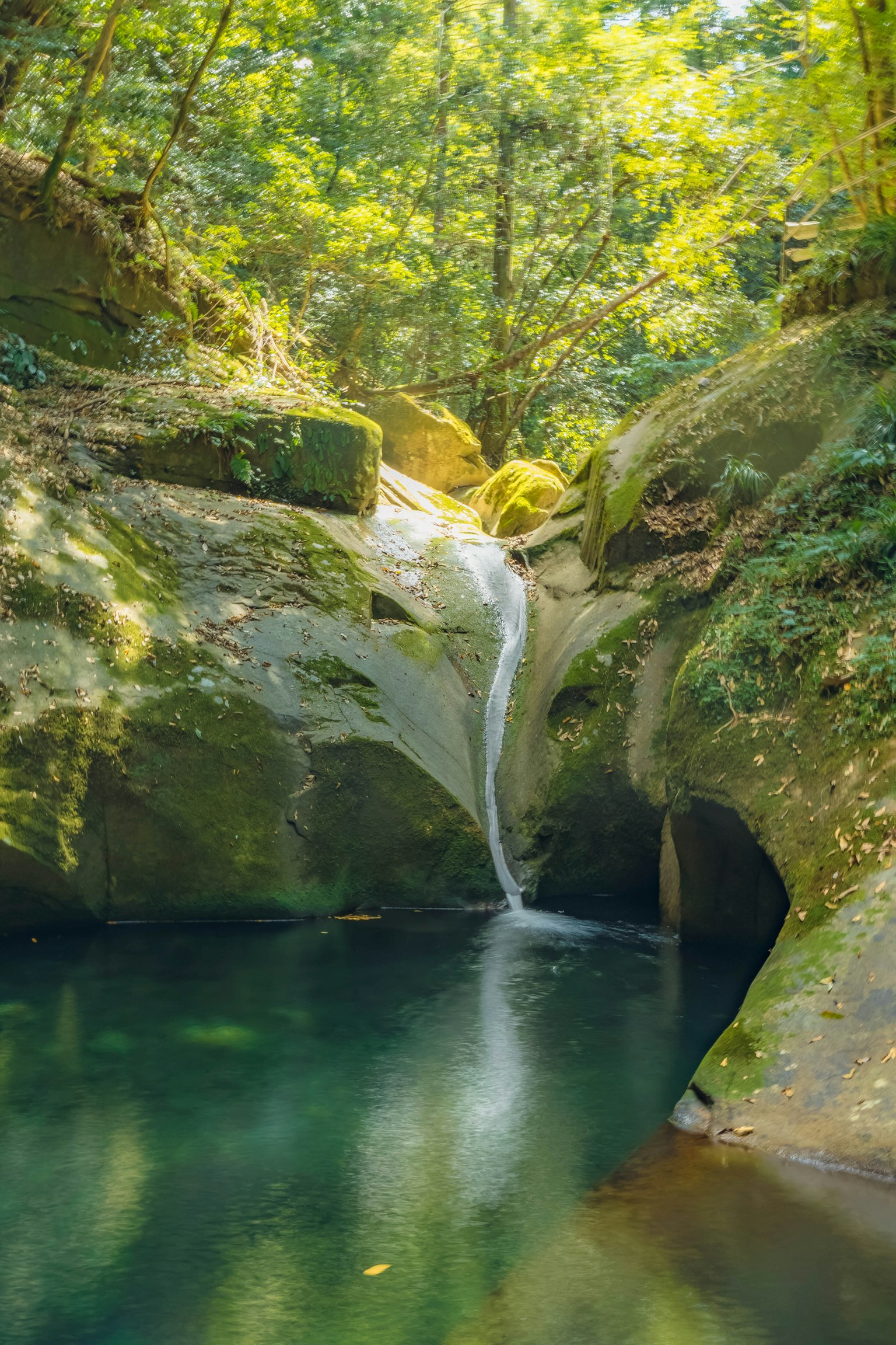Una piccola cascata e una pozza tranquilla in una foresta verdeggiante