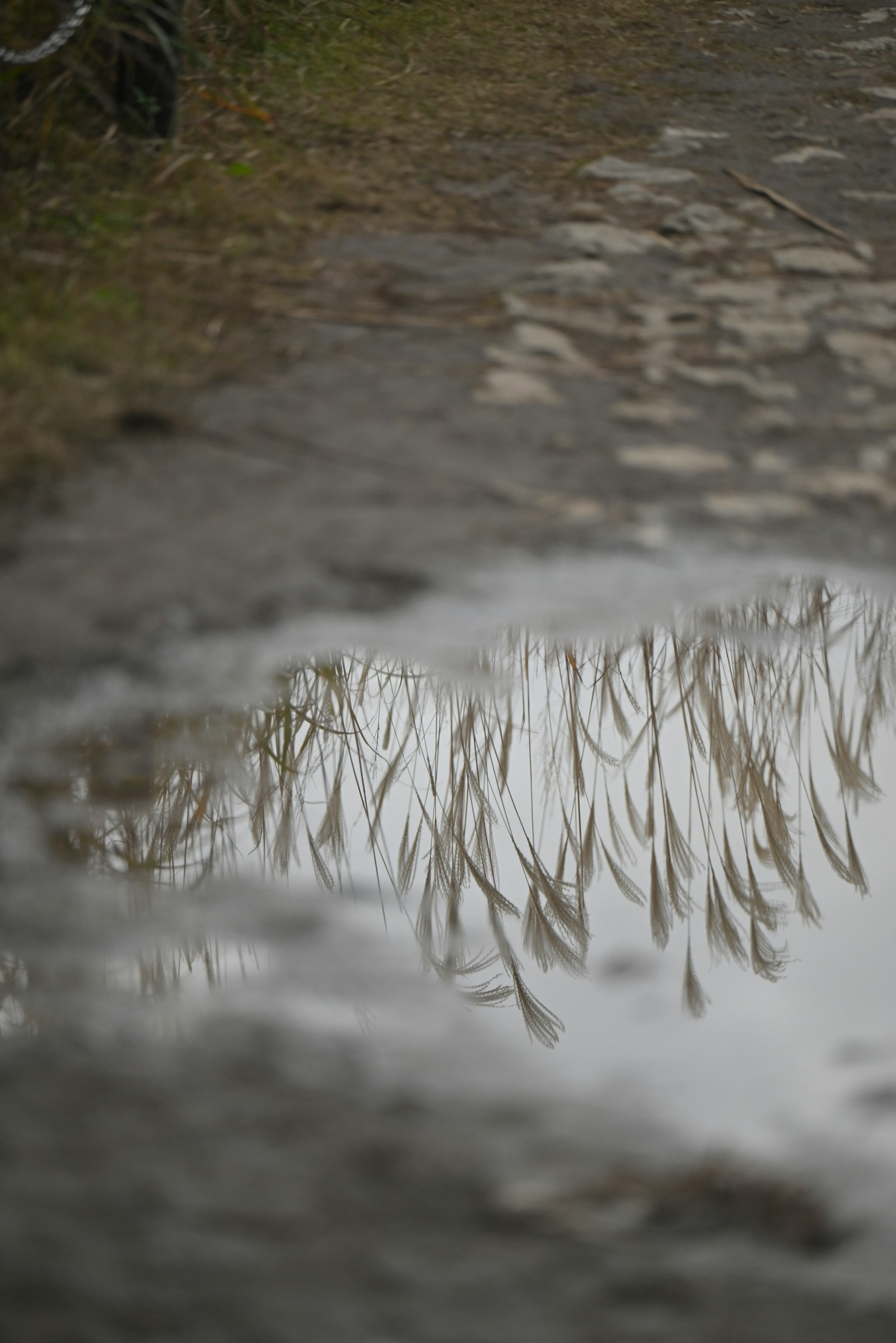 photo-UukebPPHZYGYIx4oMiAz-image