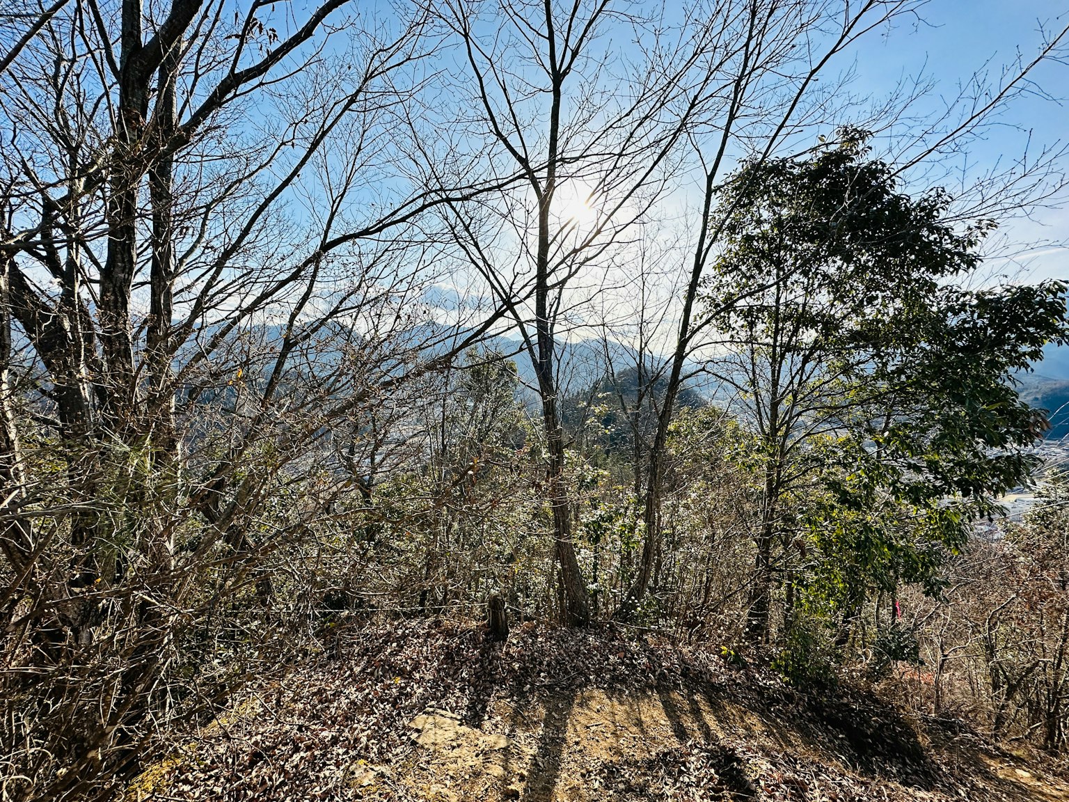 Pemandangan pegunungan dengan pohon telanjang dan langit cerah