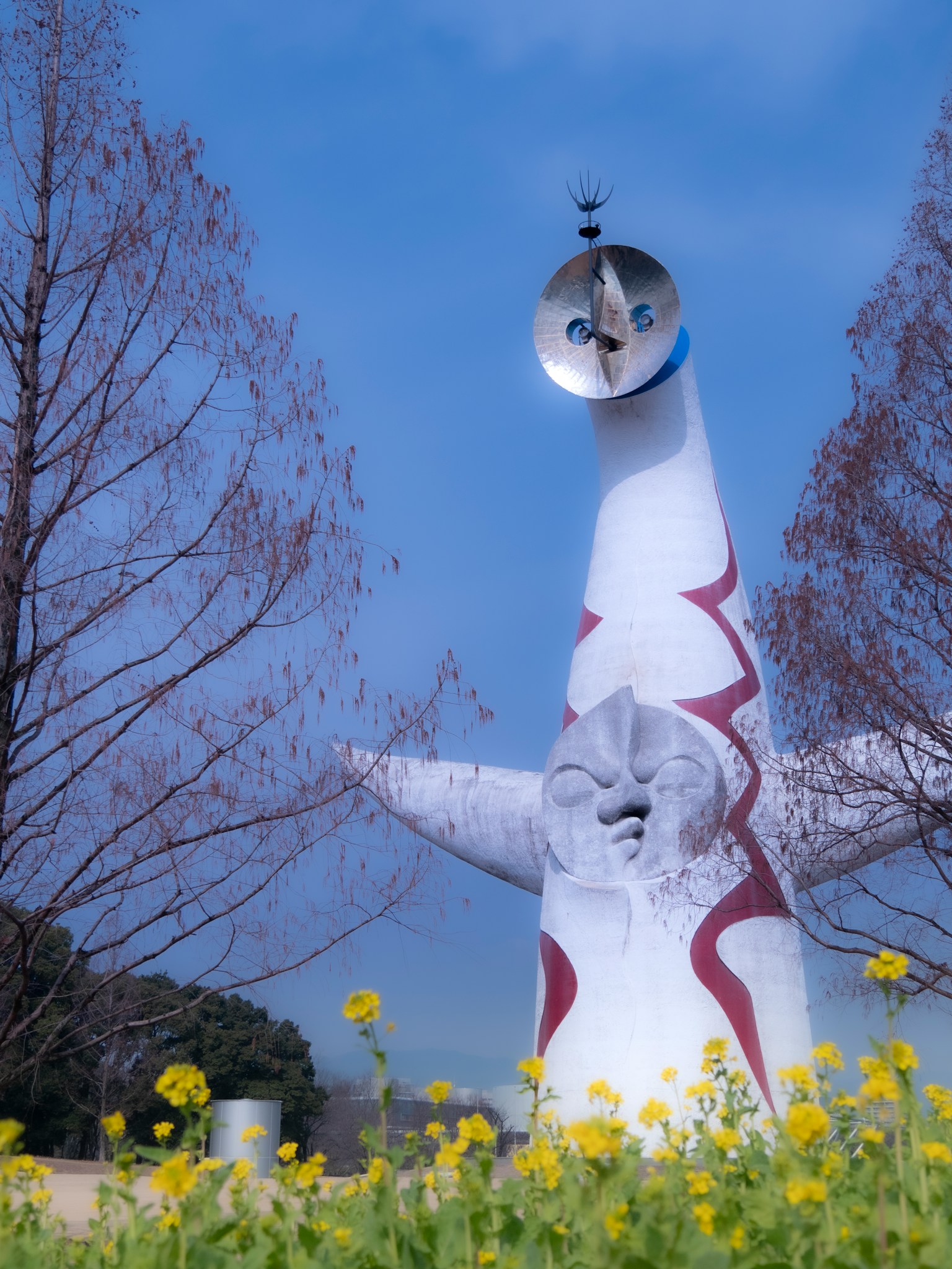 photo-UuveARLDYIR5Ap1AlXDa-image