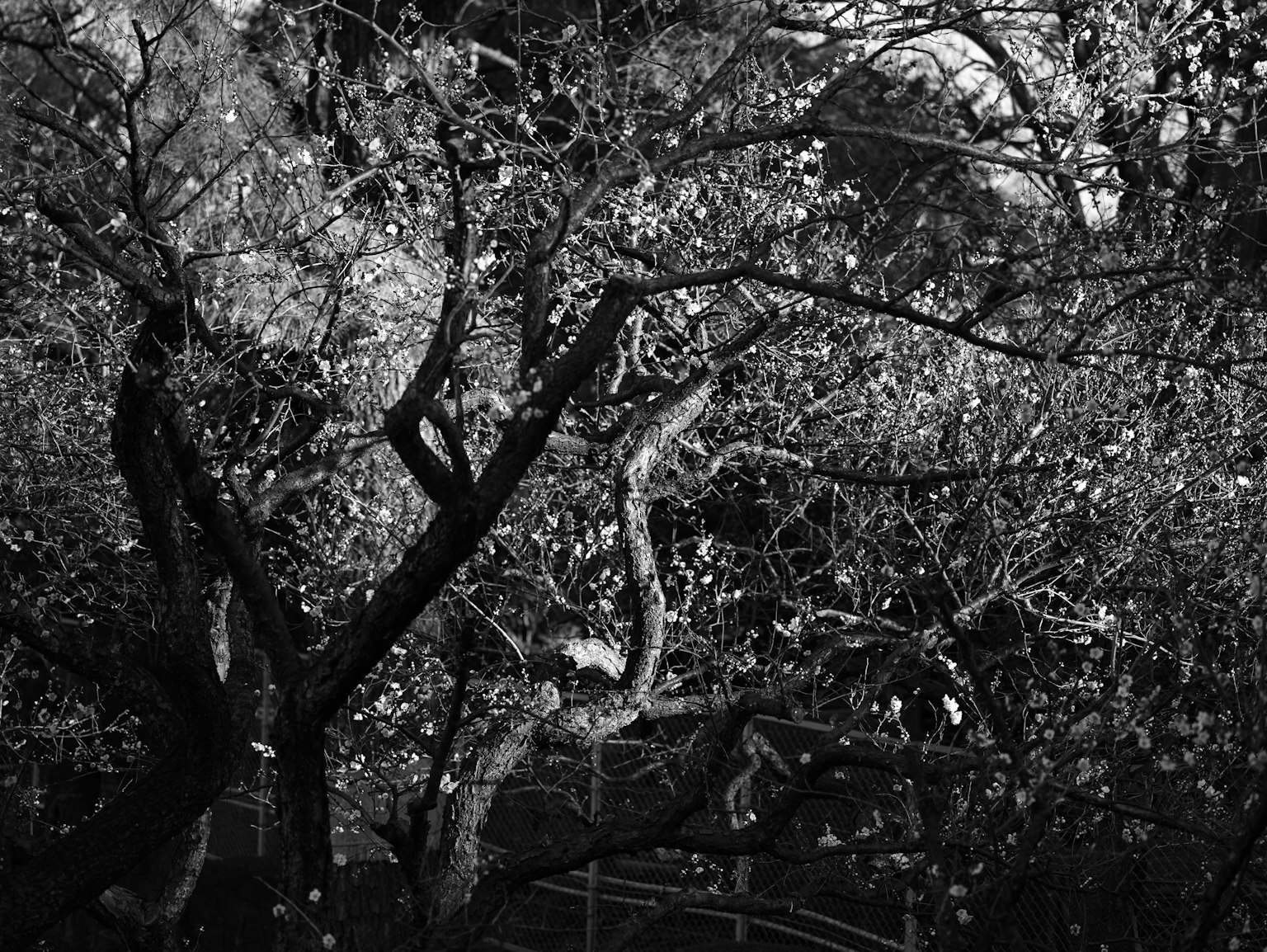 photo-UvGQ6x5AGEPqc37Vr64o-image