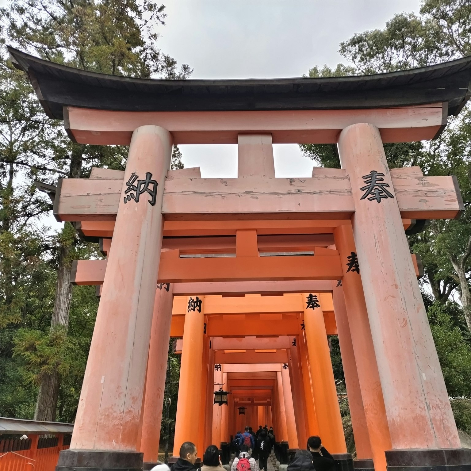 一排橙色鳥居和遊客