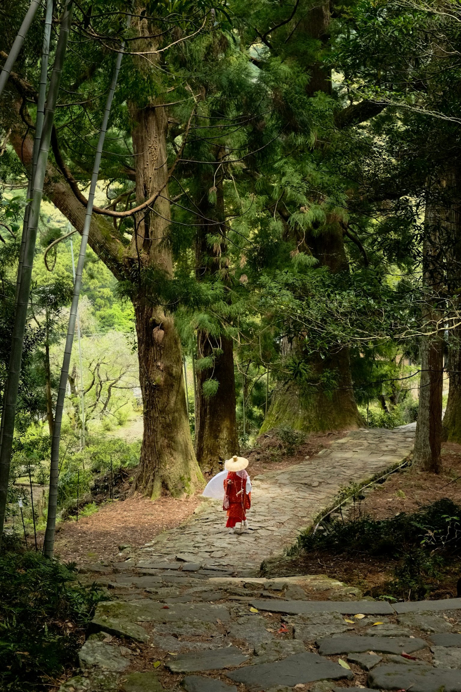 Un niño con un traje rojo caminando por un sendero en el bosque