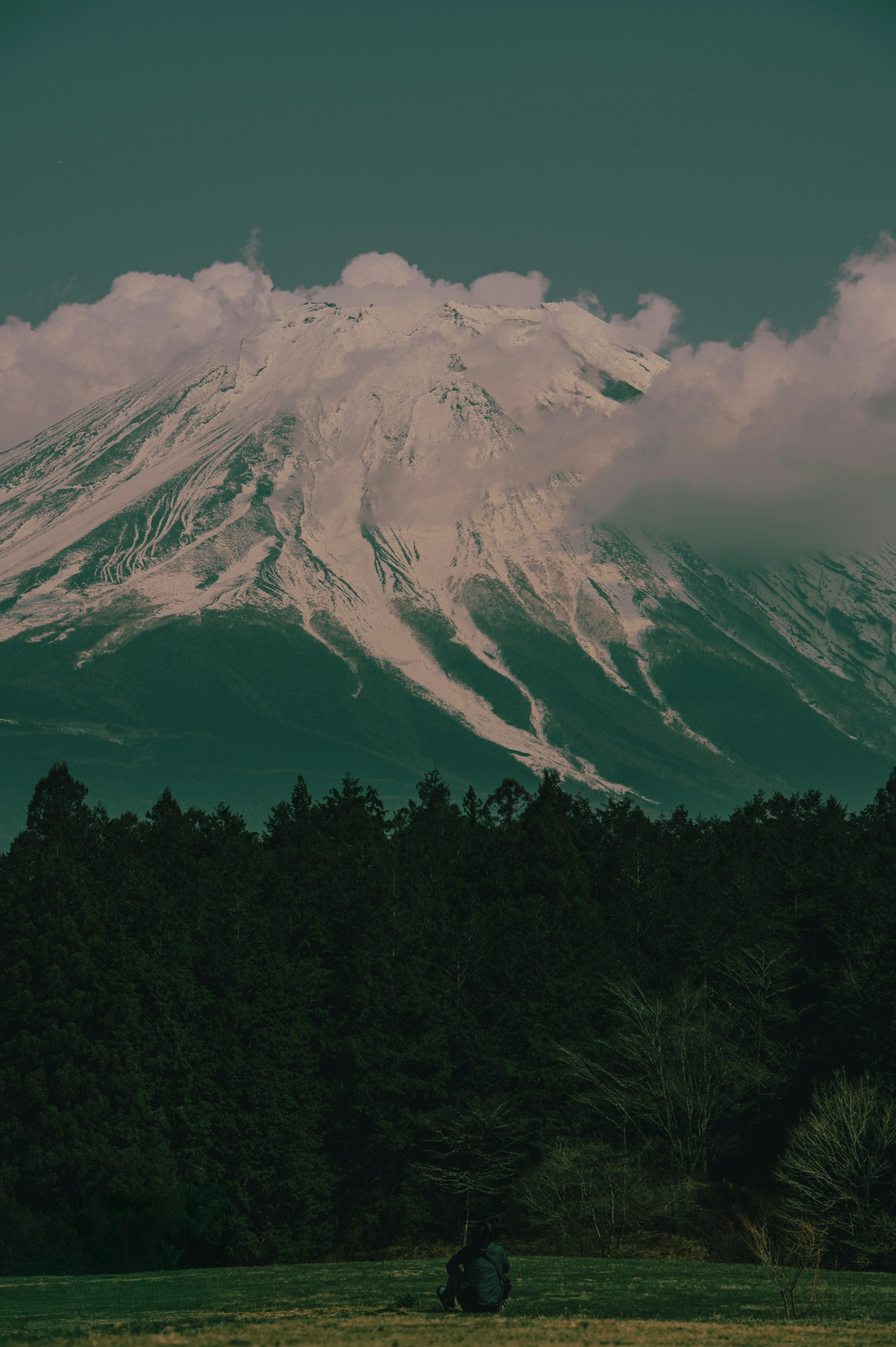 雪山與雲朵和前景森林