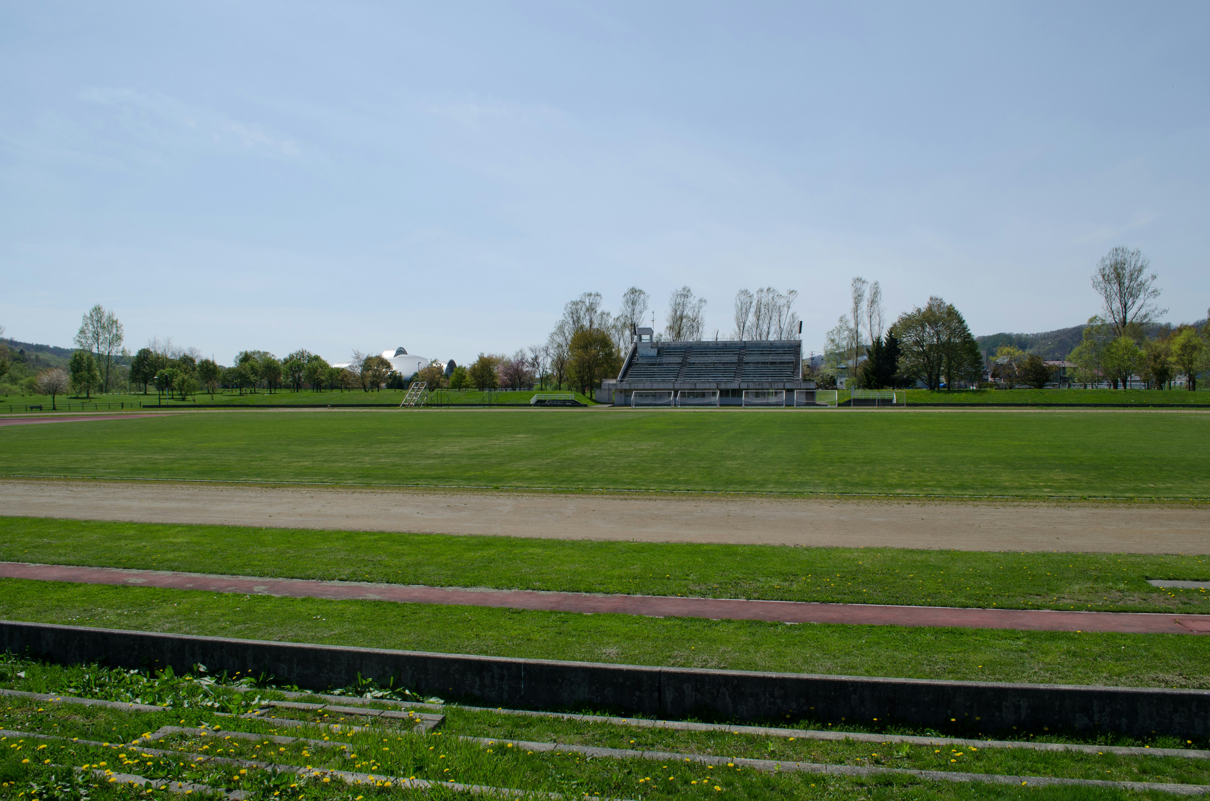 outdoor park lawn with trees and distant buildings