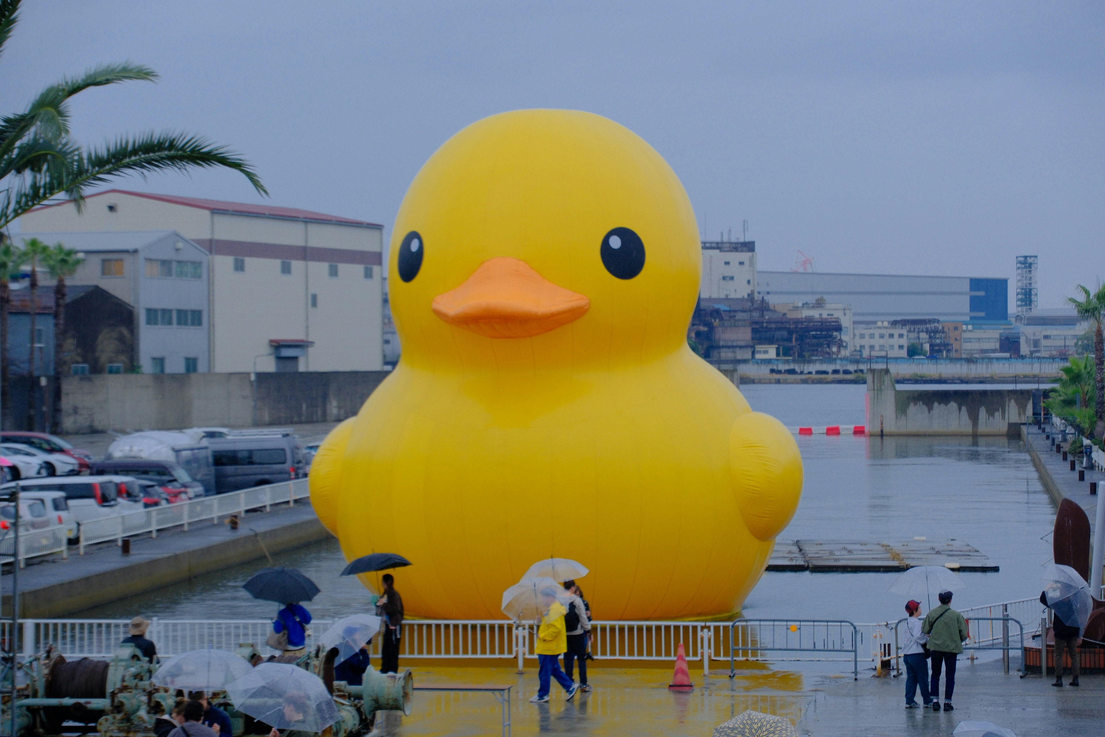 港の水辺に浮かぶ巨大なラバーダックと人々の様子