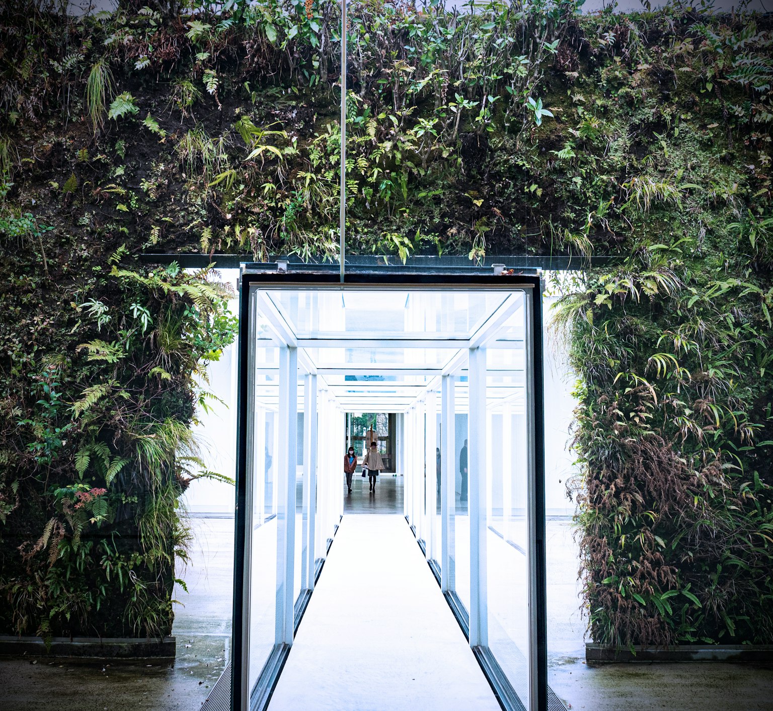 Pasillo moderno con una pared verde de plantas