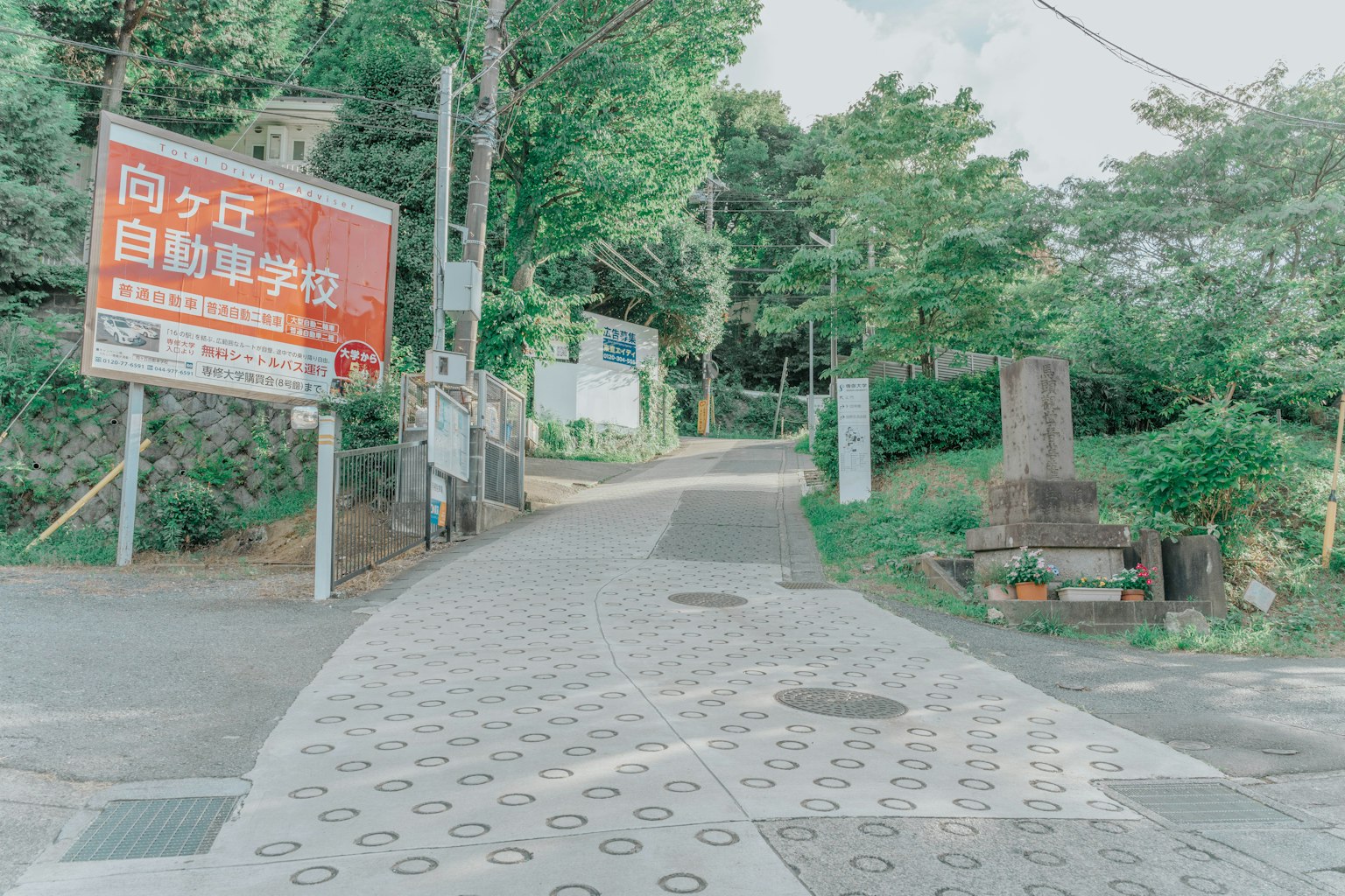 Ein malerischer Weg mit üppigem Grün und einem großen Schild